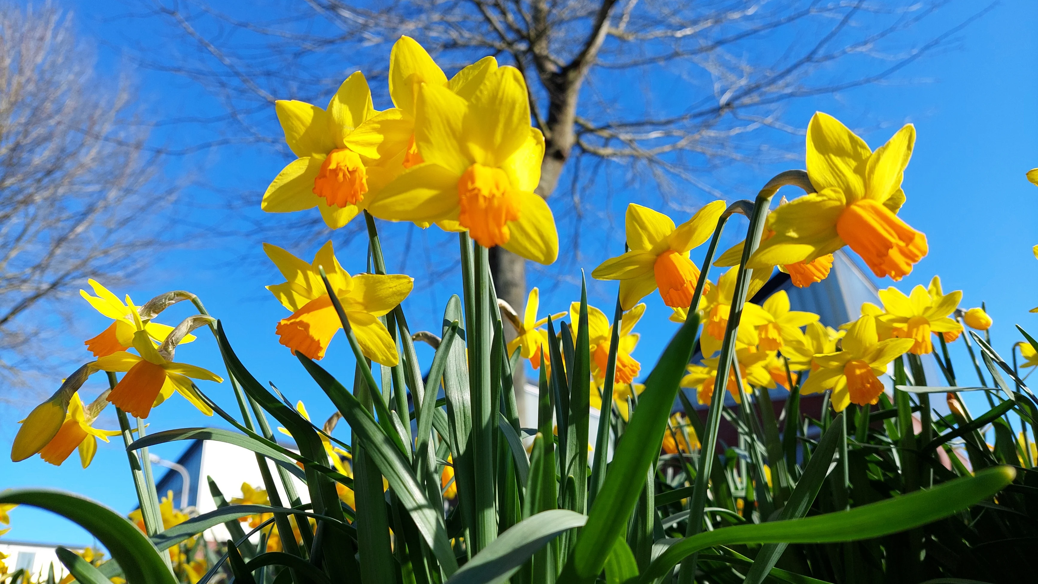 Opnieuw een zonnige dag, maar het wordt wel frisser