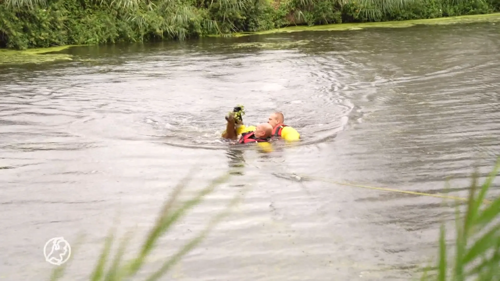 Twee keer ree uit kanaal gered bij Helmond