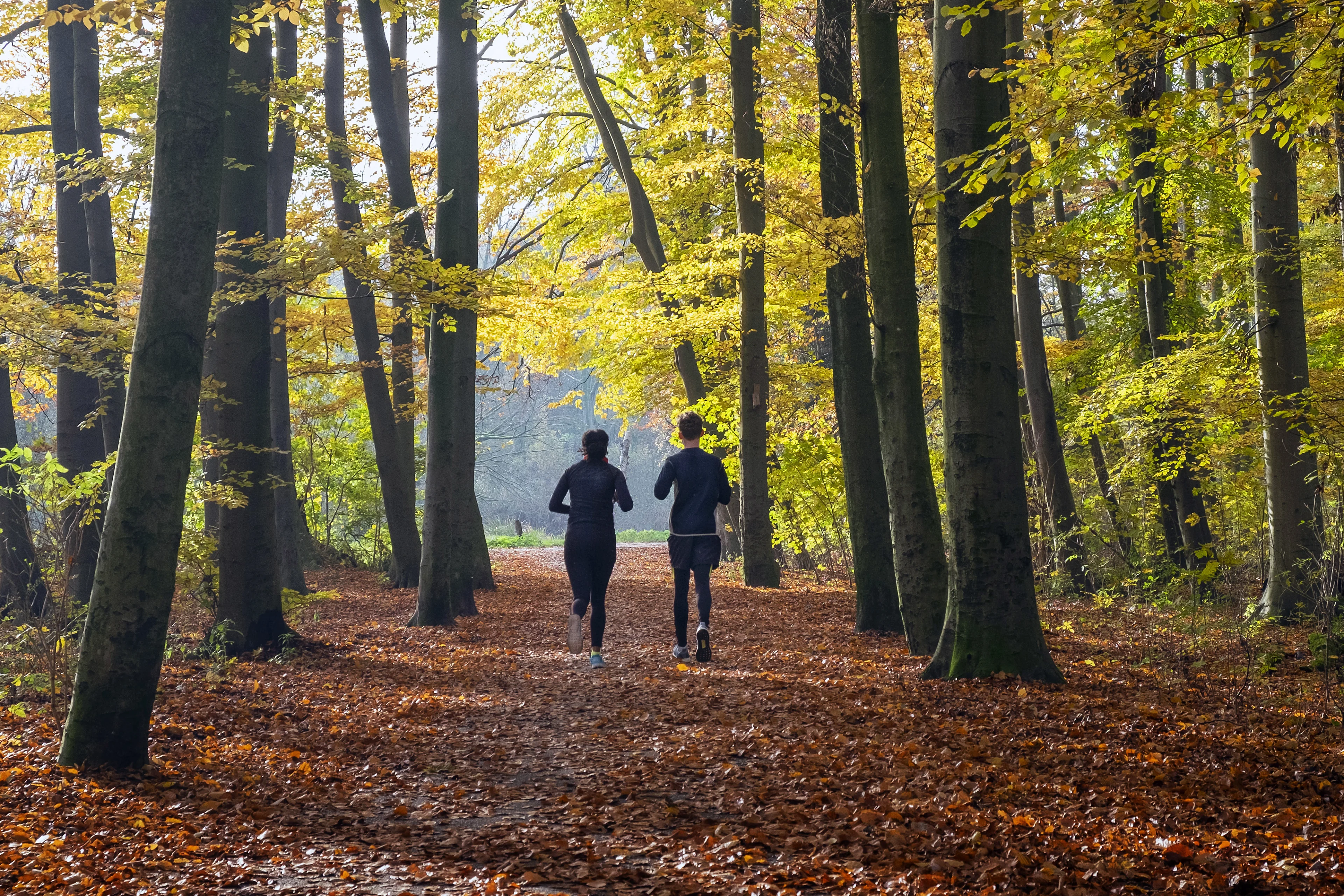 Veel wind maar ook 22 graden: het wordt morgen bijzonder weer