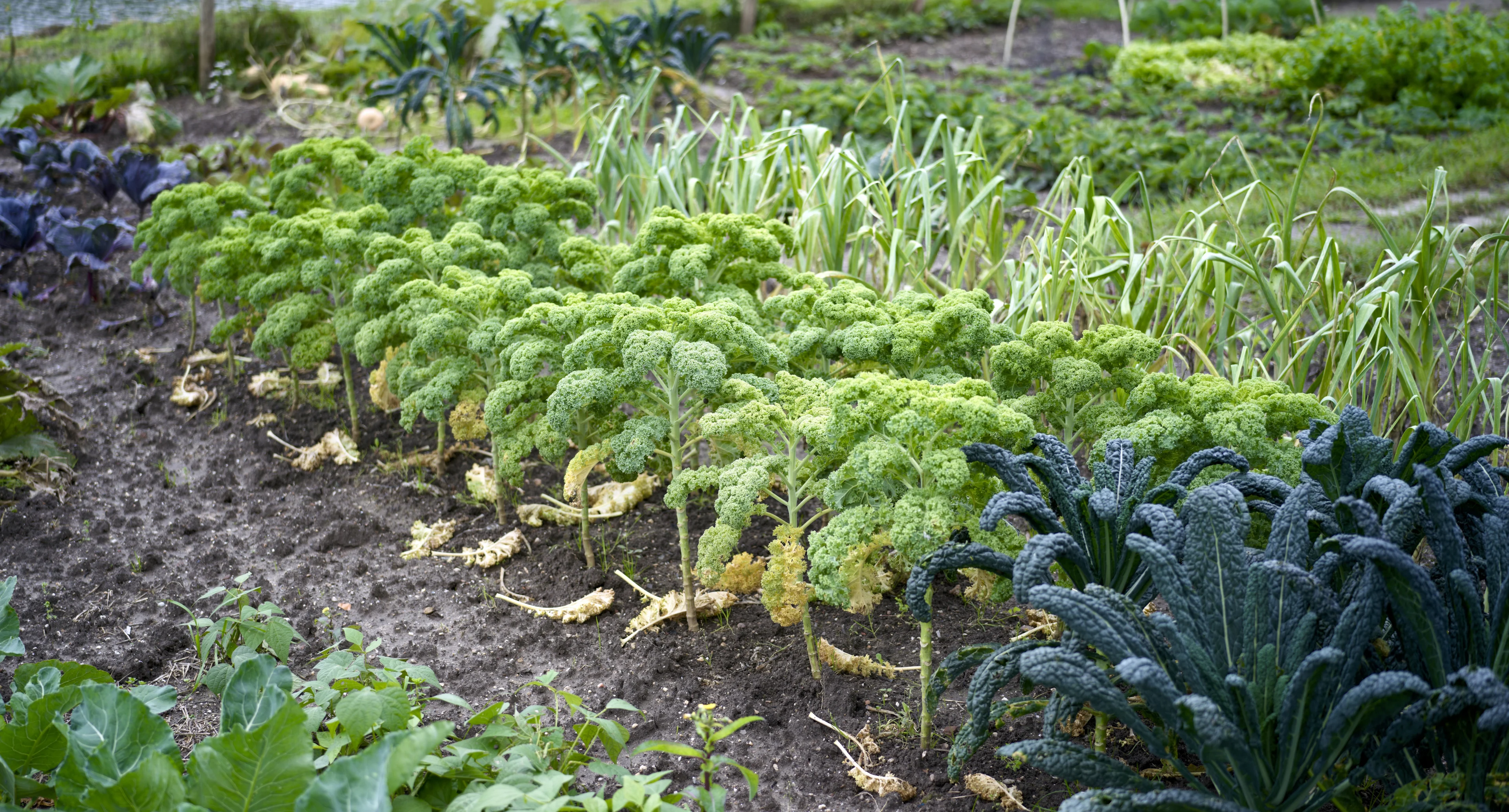 Advies GGD: eet niets uit omgeving vliegveld Rotterdam om PFAS