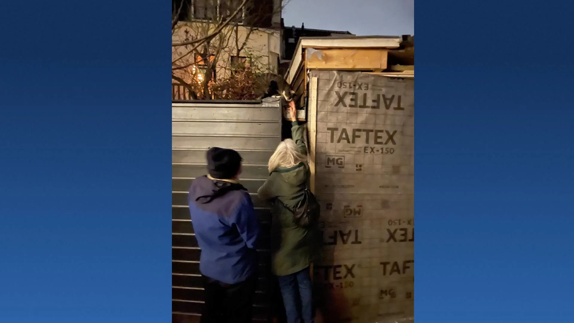 Utrechtse kat Doerak weer terecht na vermissing na explosie