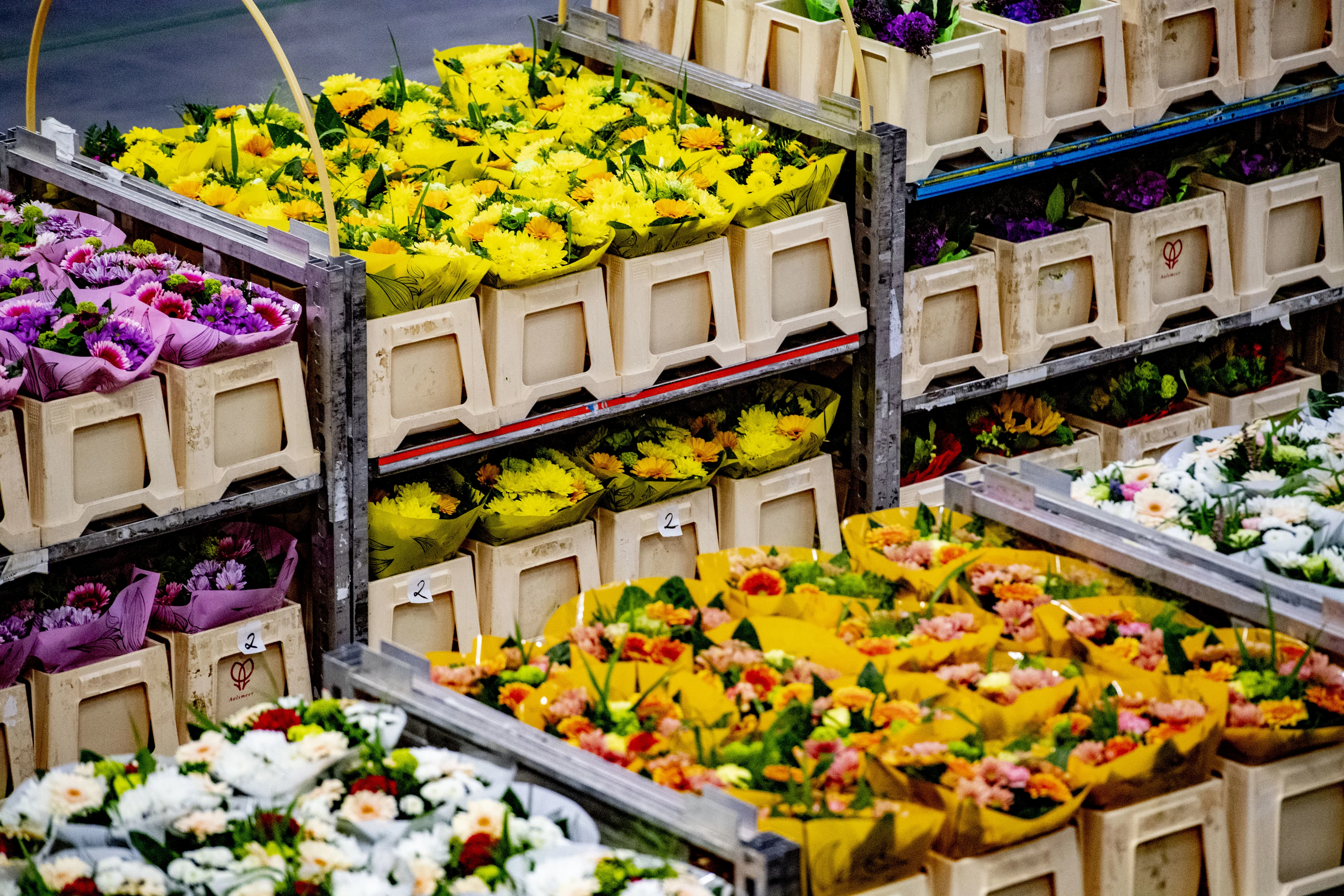 Drugsbende opgerold die actief was op bloemenveiling van Aalsmeer