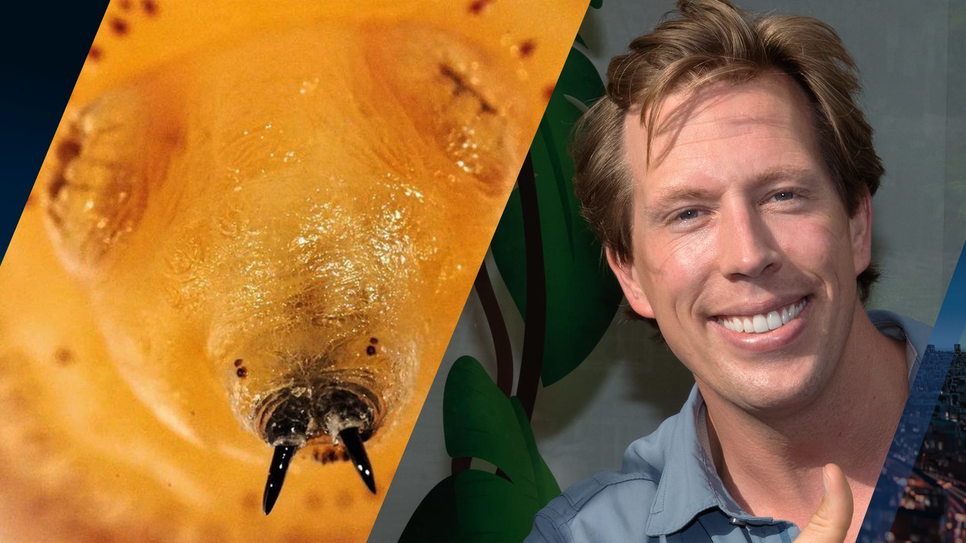 Het is zover: larf is uit been van Freek Vonk gekropen, 'Holy moly... Ik ben bevallen!'