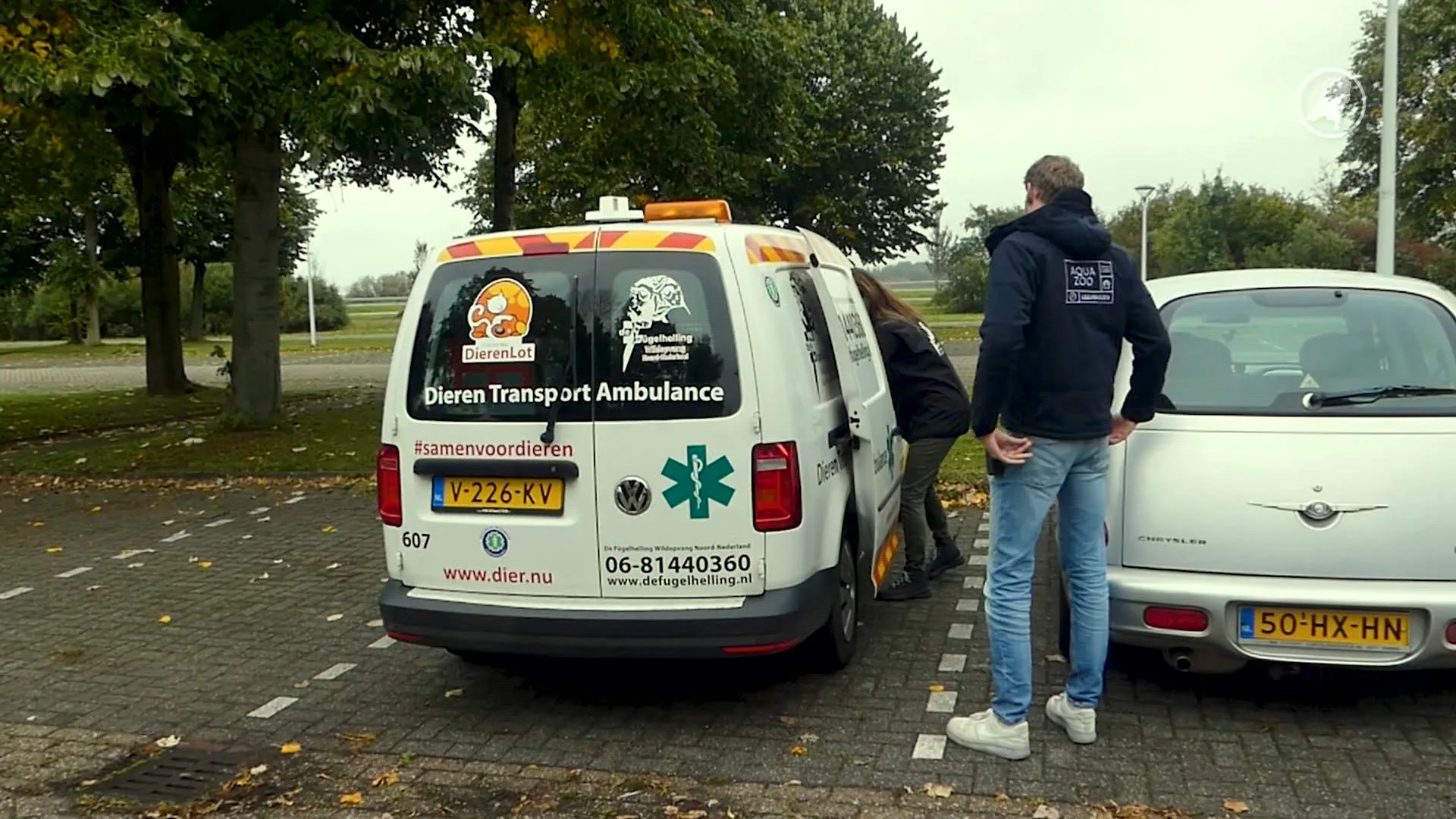 Egels vrijgelaten bij AquaZoo