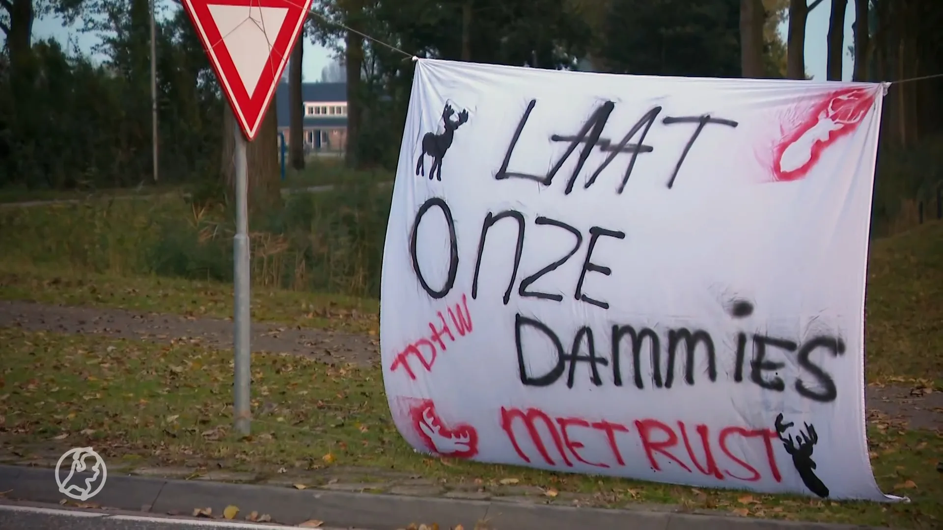 Protest in Hoeksche Waard: strijd om damherten afschieten te stoppen