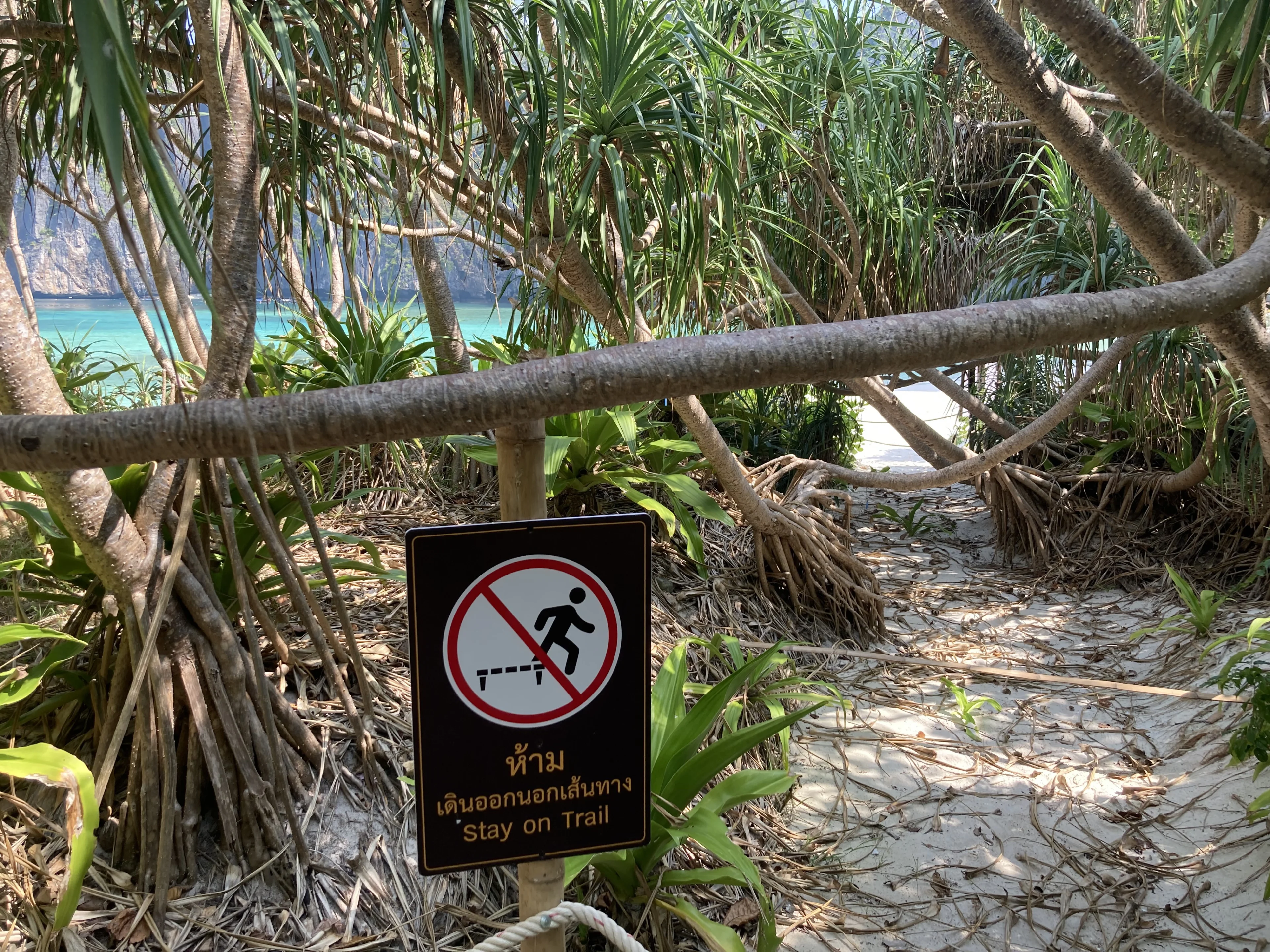 Nederlander (18) omgekomen tijdens wandeltocht met ouders in Thailand