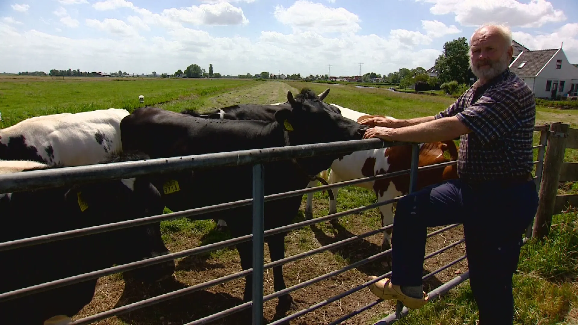 Kleine boer maakt zich geen enkele zorgen over stikstofplannen