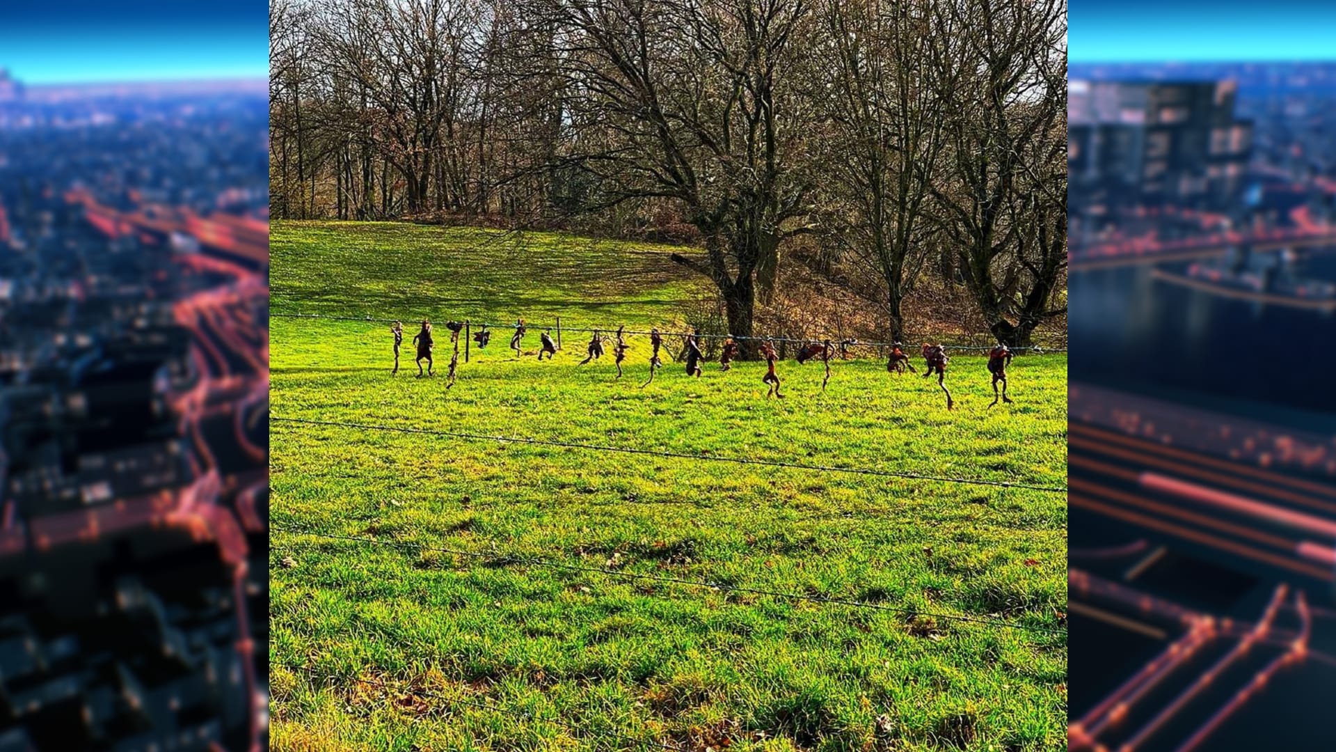 Padden 'gemarteld en verminkt' aan prikkeldraad opgehangen in Landgraaf