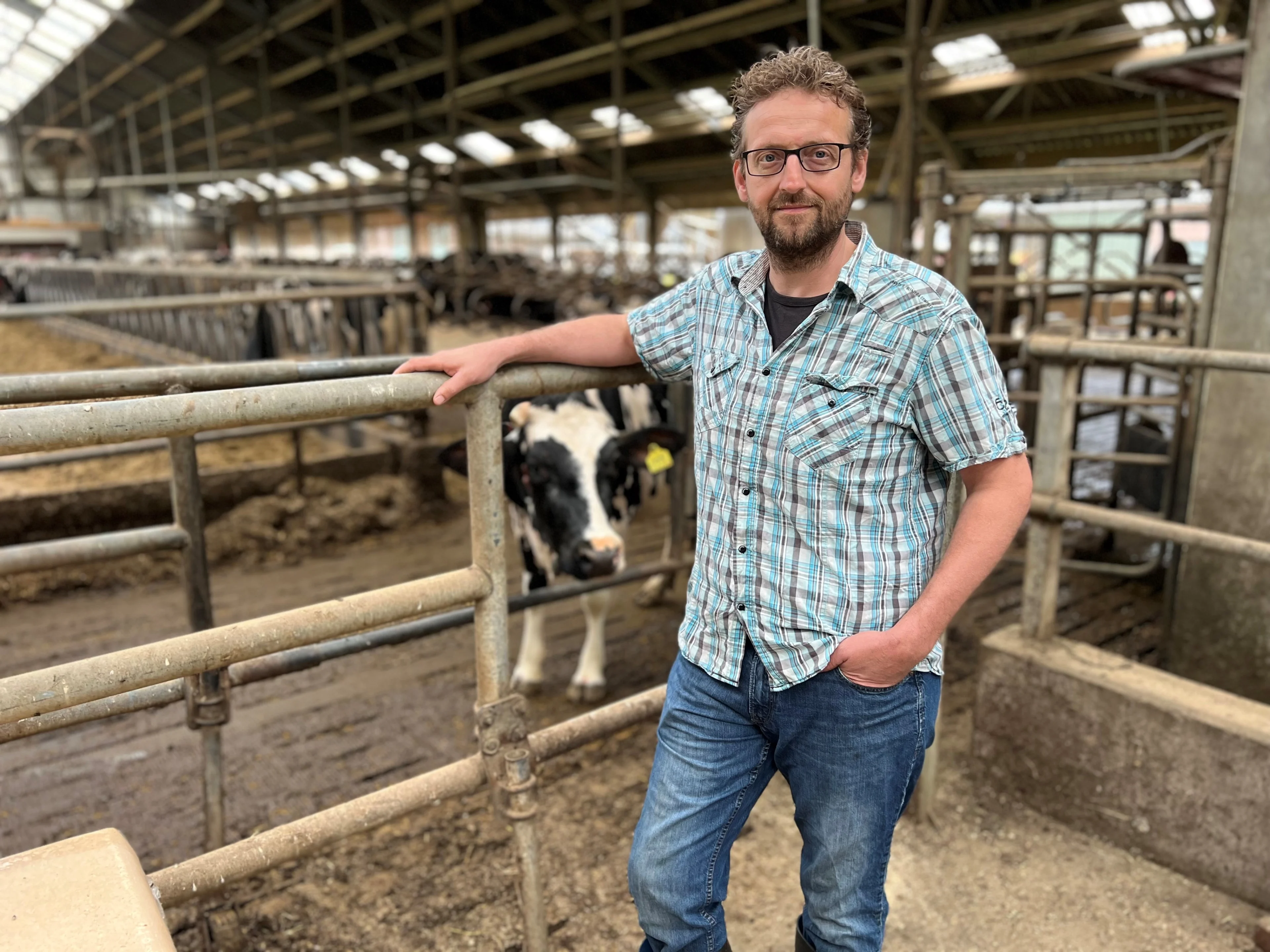 Boeren zinnen op groot protest na uitgelekte stikstofmaatregelen: 'Dit is onmogelijk'
