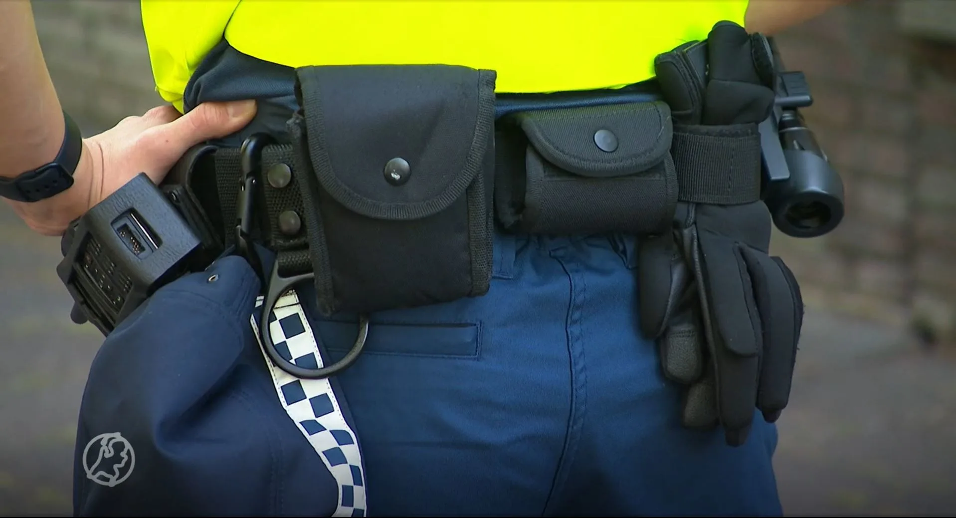 Tweede verdachte opgepakt voor mishandeling boa's in café Medemblik