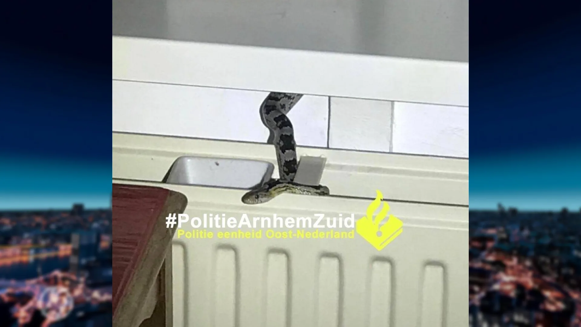 Rustige avond van Arnhemse plots verstoord door kruipende 'inbreker'