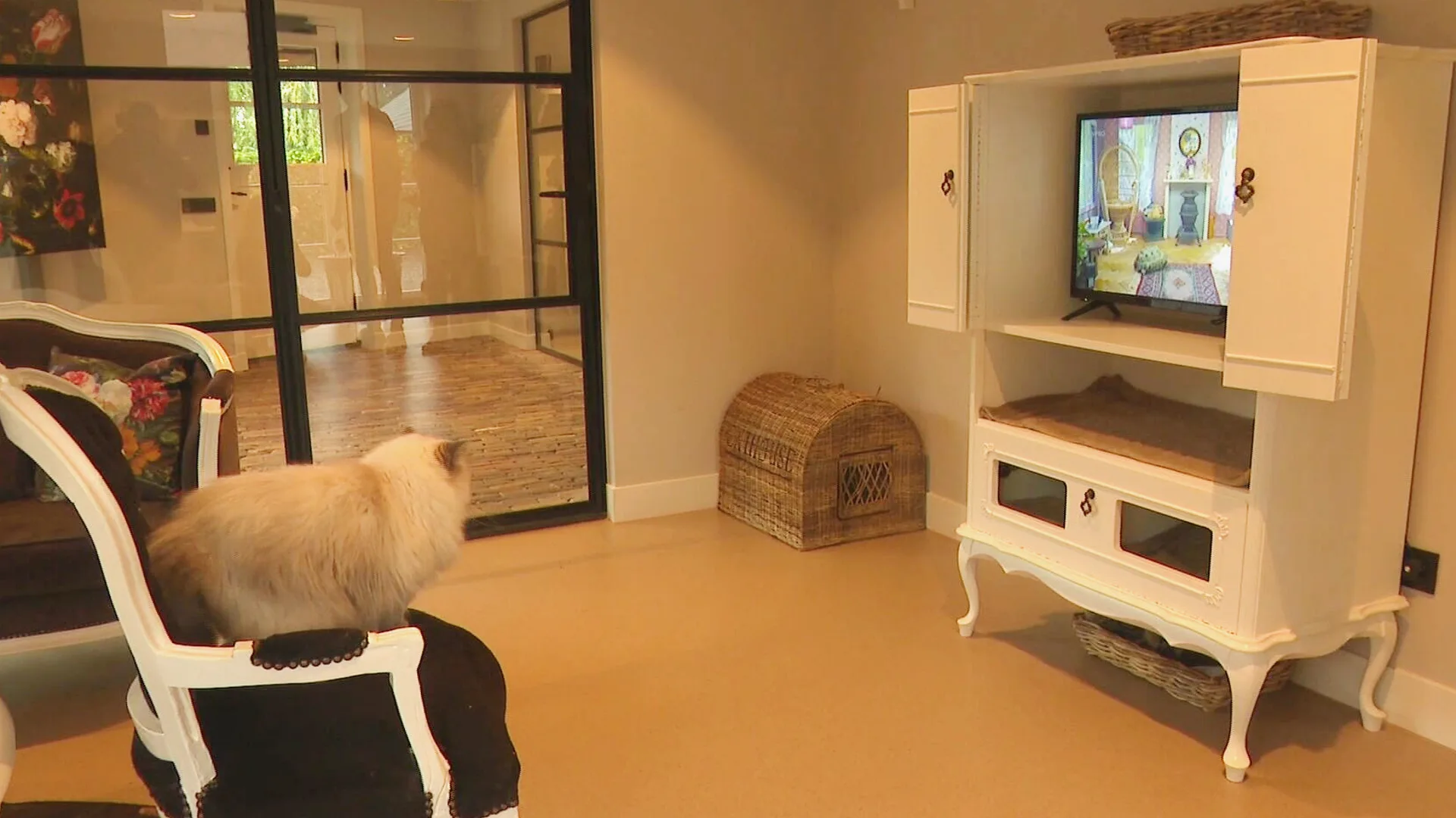 Jij op vakantie in luxe resort? Dan de viervoeter ook