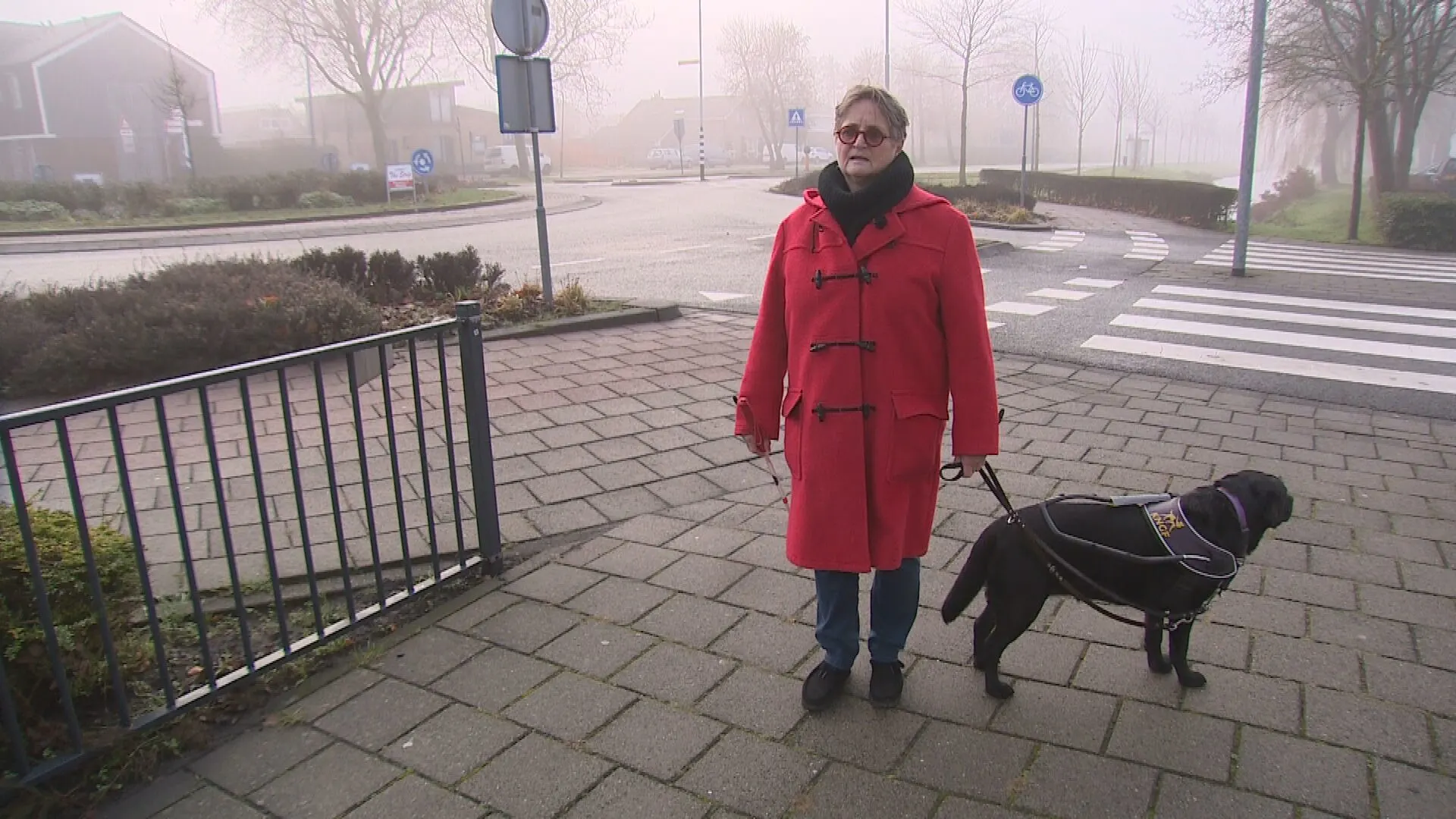 Marjoleins blindengeleidehond is bang voor vuurwerk: 'Als hij verstijft, kan ik geen kant op'