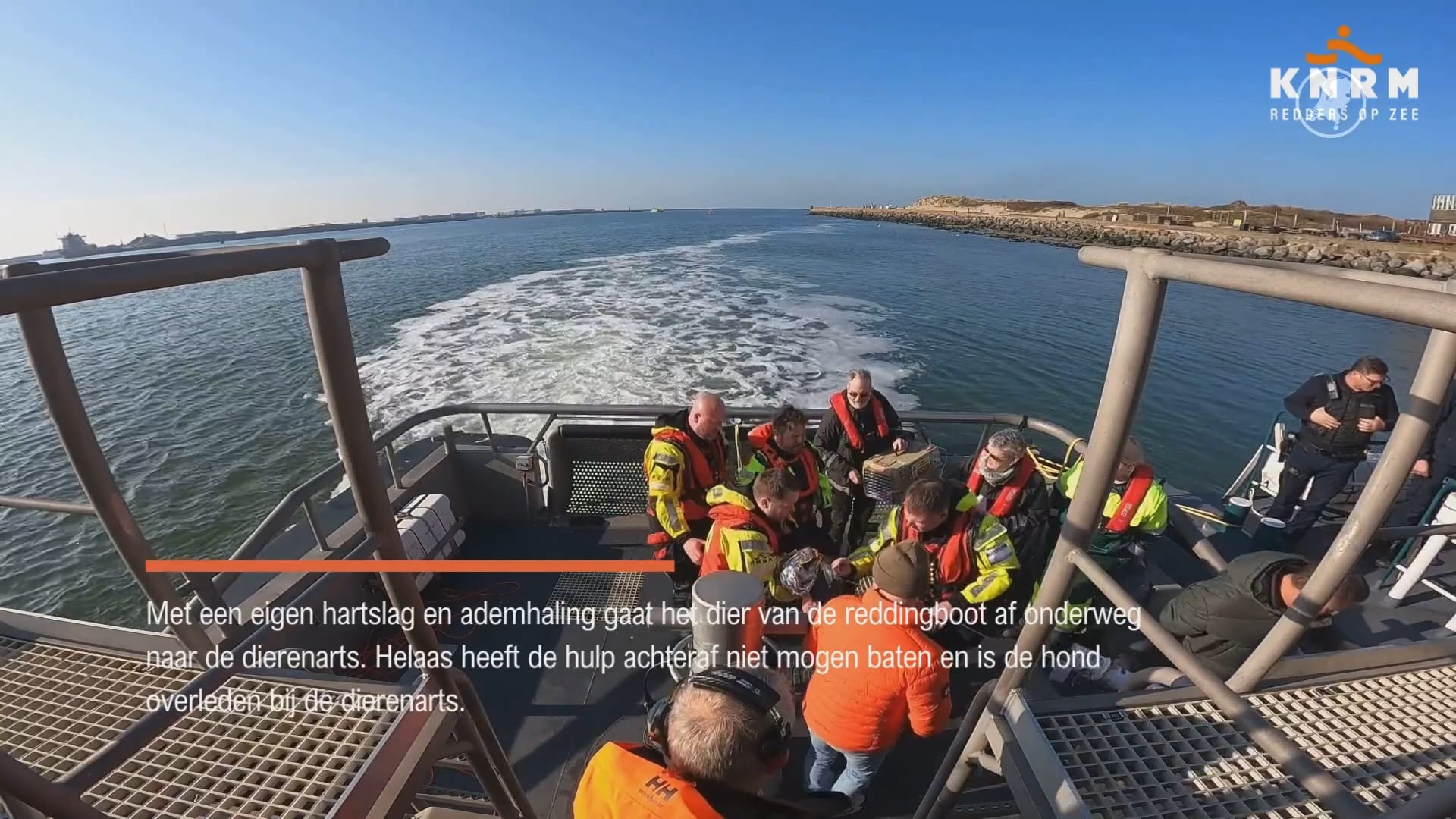 Hond overleden na sprong van pier in ijskoude zee bij Velsen-Noord: 'Levensgevaarlijk'