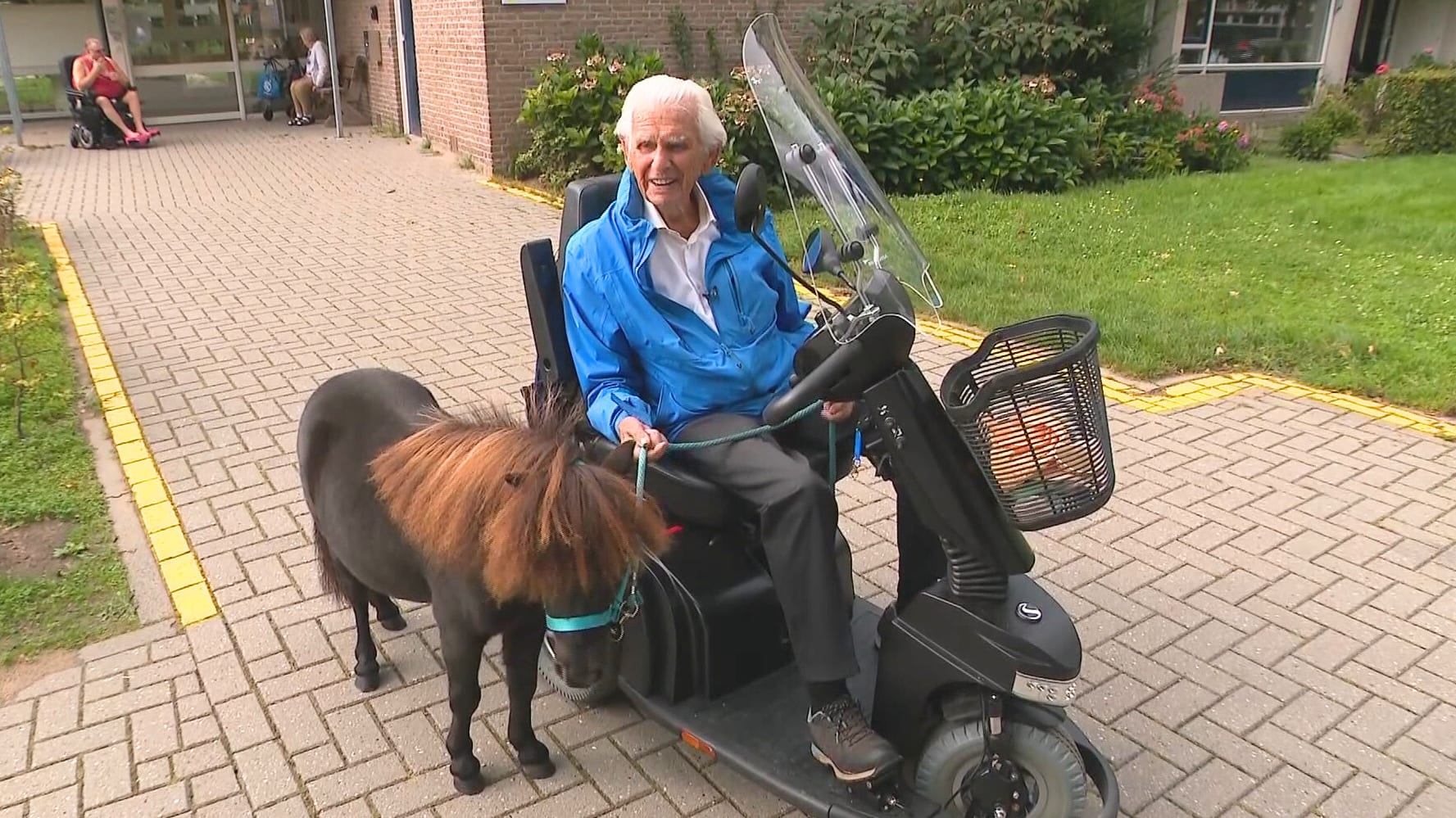 Ab (94) zijn beste vriend is pony Jack: 'Ik hou van hem en hij van mij'
