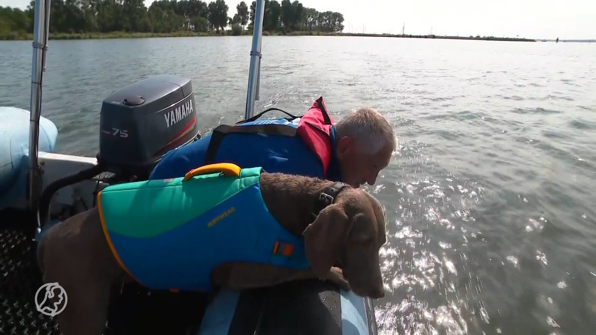 Hugh traint speurhonden om lichamen onderwater te kunnen vinden