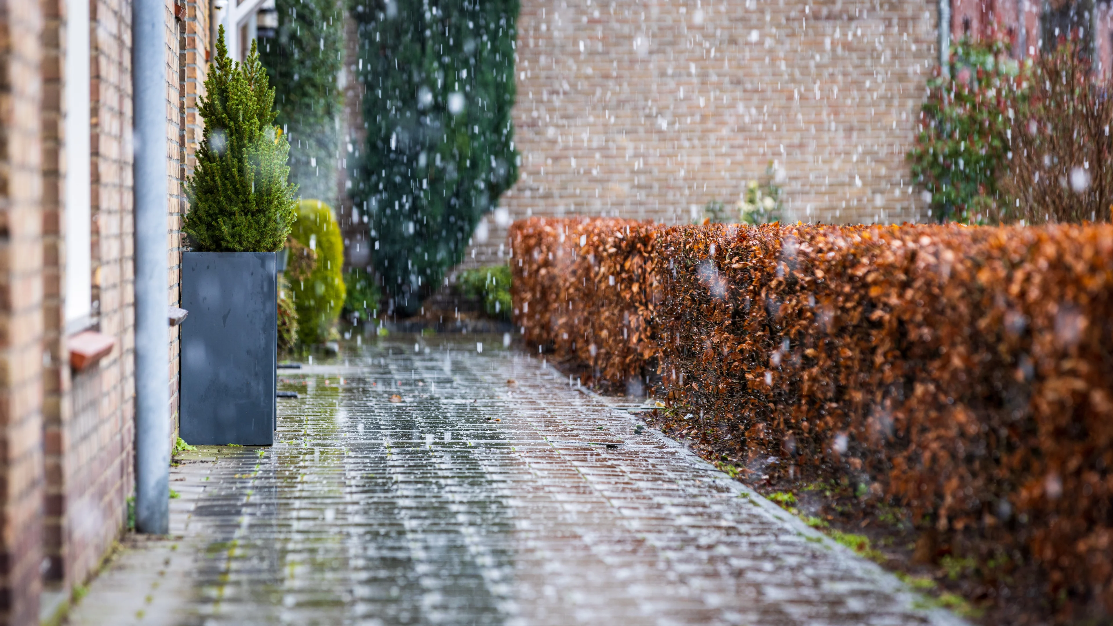 Volgende week witte grasvelden? Er wordt sneeuw verwacht