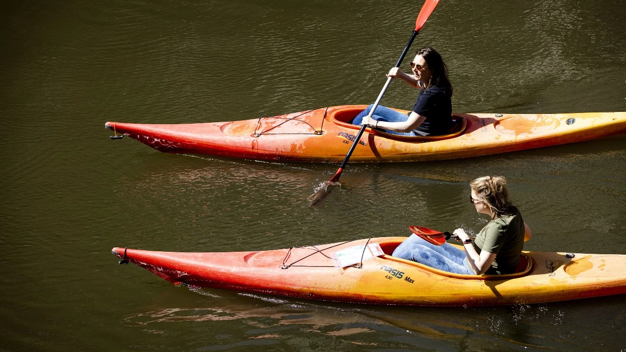 Het weer vandaag (morgen, en de rest van de week): zon, zon, zon