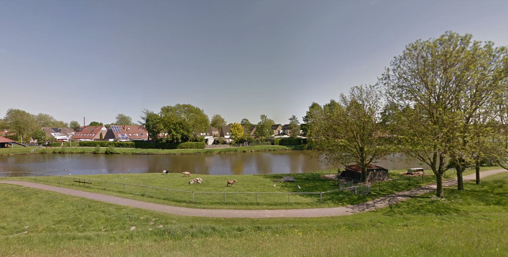 Schapen van kinderboerderij Olst afgeslacht, daders laten koppen en ingewanden achter