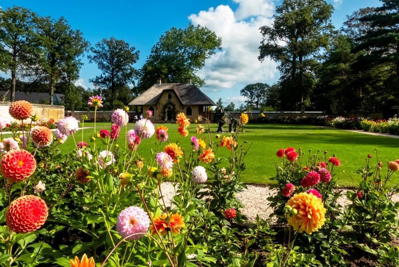 Vandaag mooiste dag van de week, na morgen weer koeler