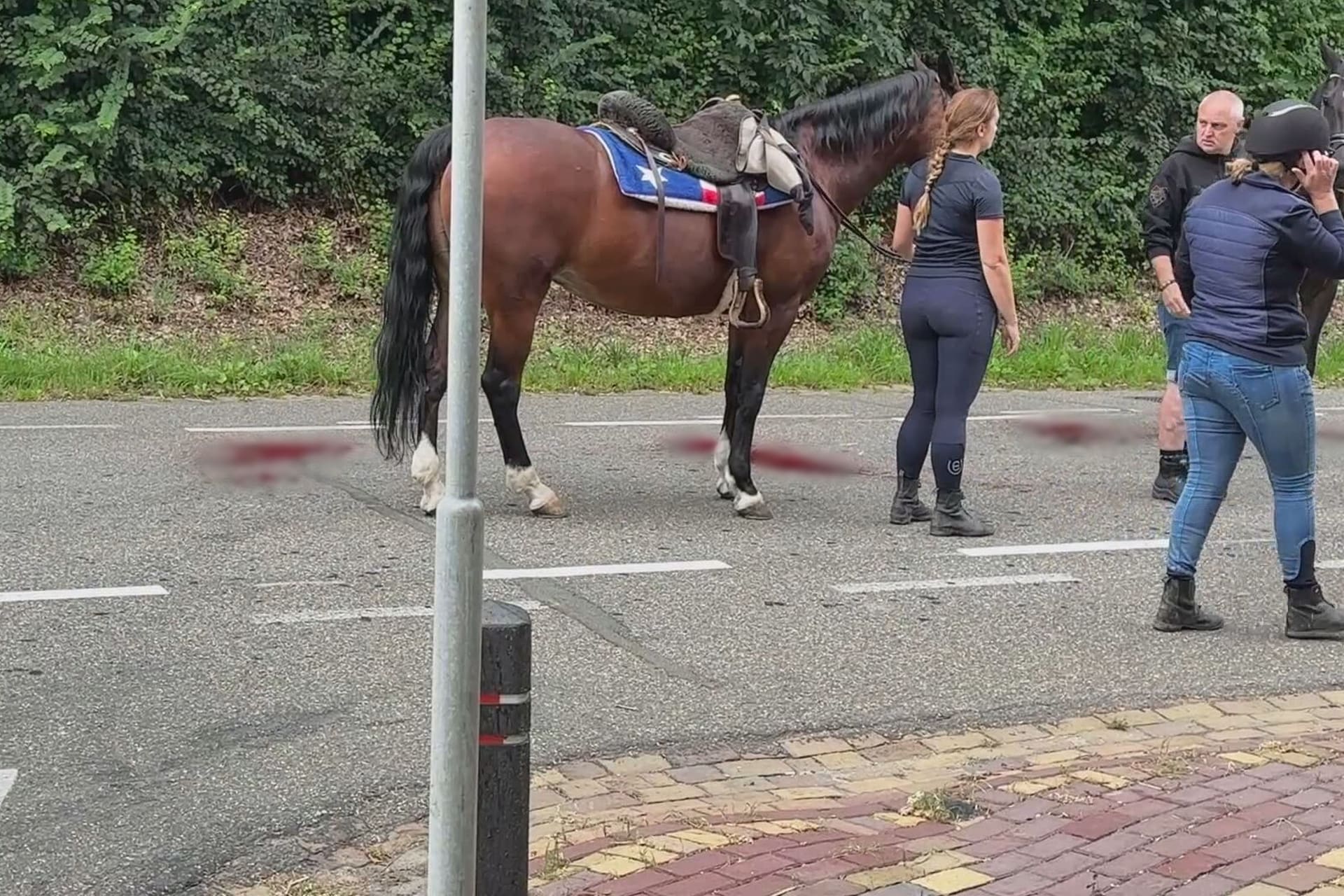 Paard gewond bij aanrijding met auto Schimmert