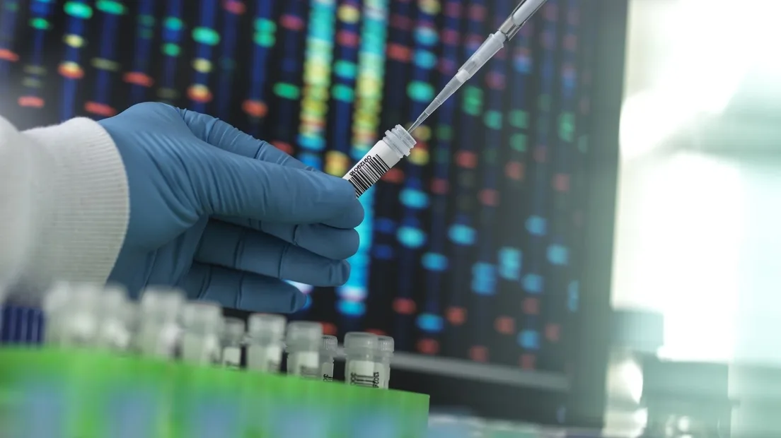 Man wijst eeneiige broer aan als dader in zedenzaak, maar uit DNA-onderzoek blijkt anders