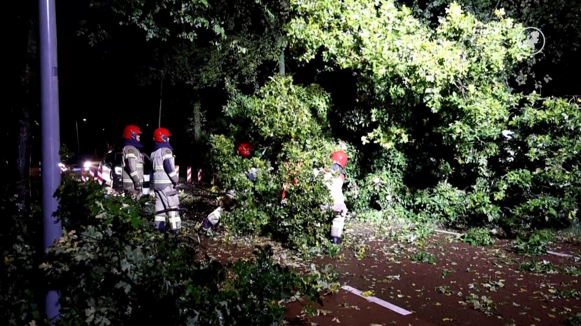 Storm Amy trekt over het land: bomen op de weg door harde windstoten