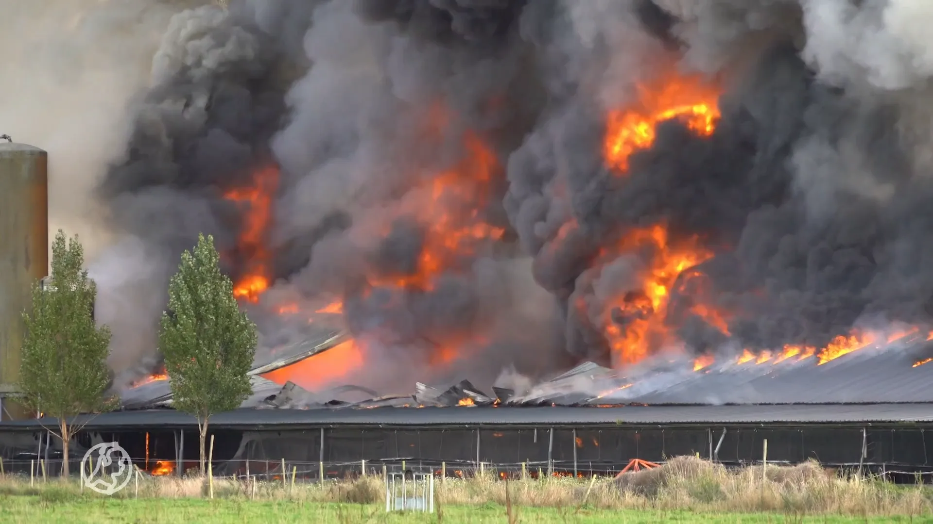 Tienduizenden kippen komen om bij verwoestende brand in Assen