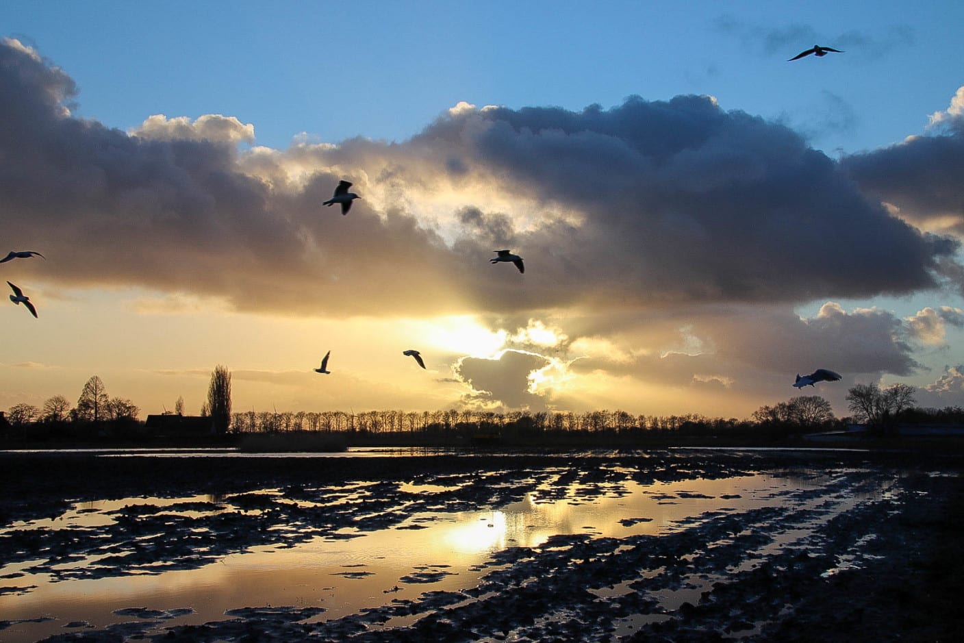 Code geel vanwege dichte mist, maar verder zonovergoten weekend