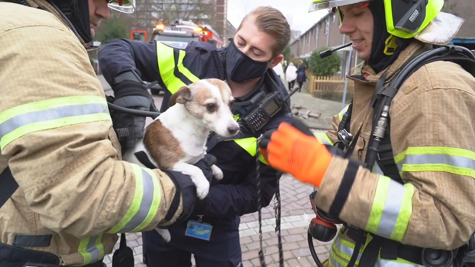 Hondje gered bij grote brand Vlaardingen, hele flat ontruimd