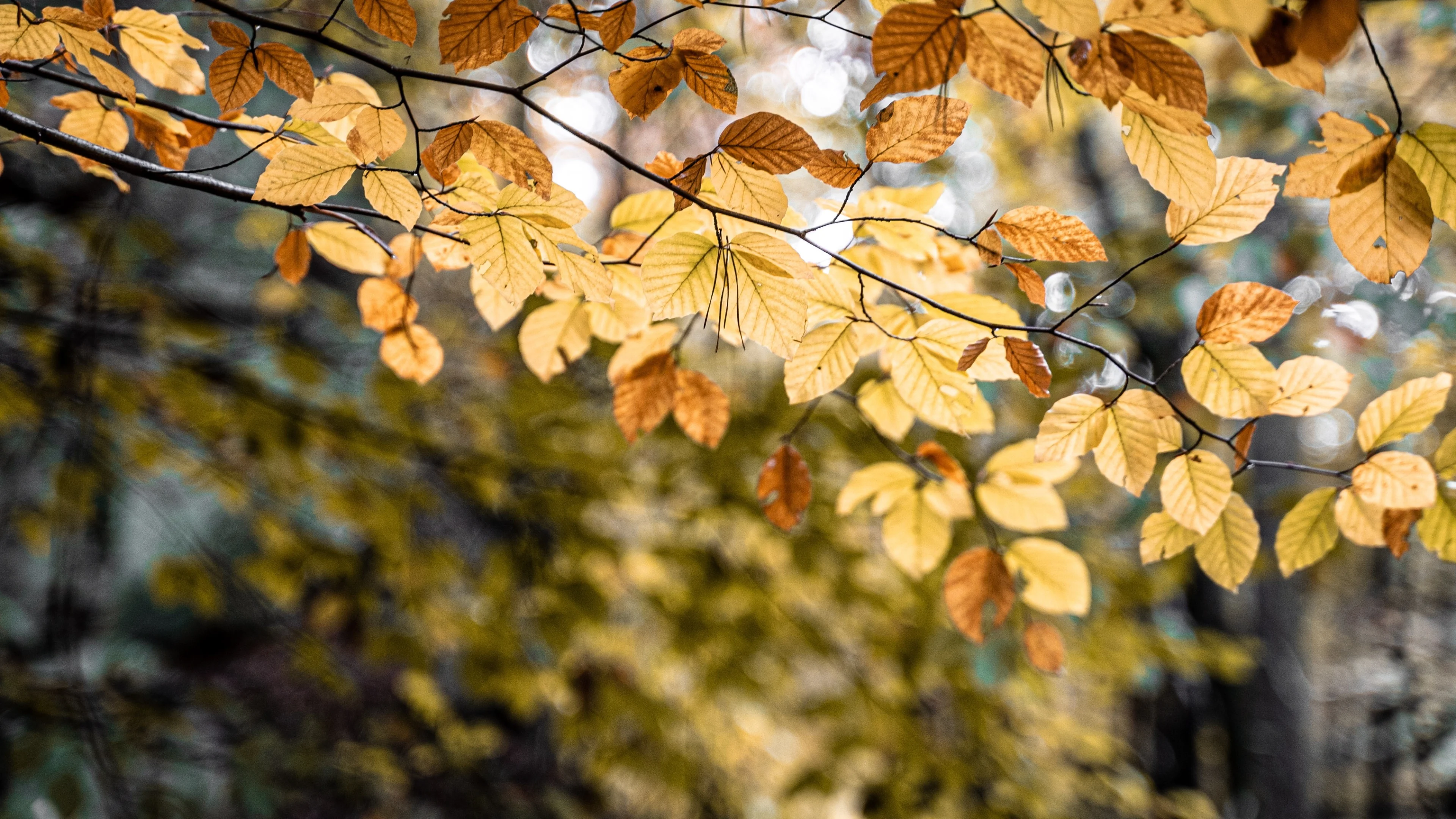 Veel bewolking, maar zon laat zich af en toe zien