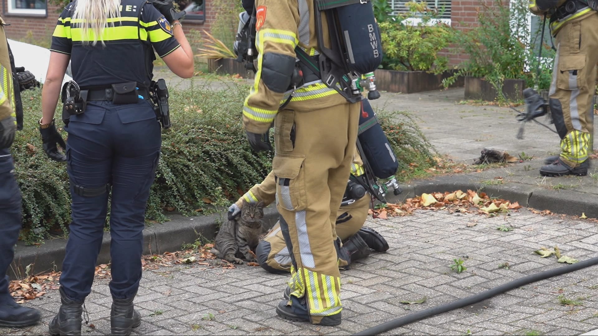 Woningbrand in Tilburg: kat en schildpad gered