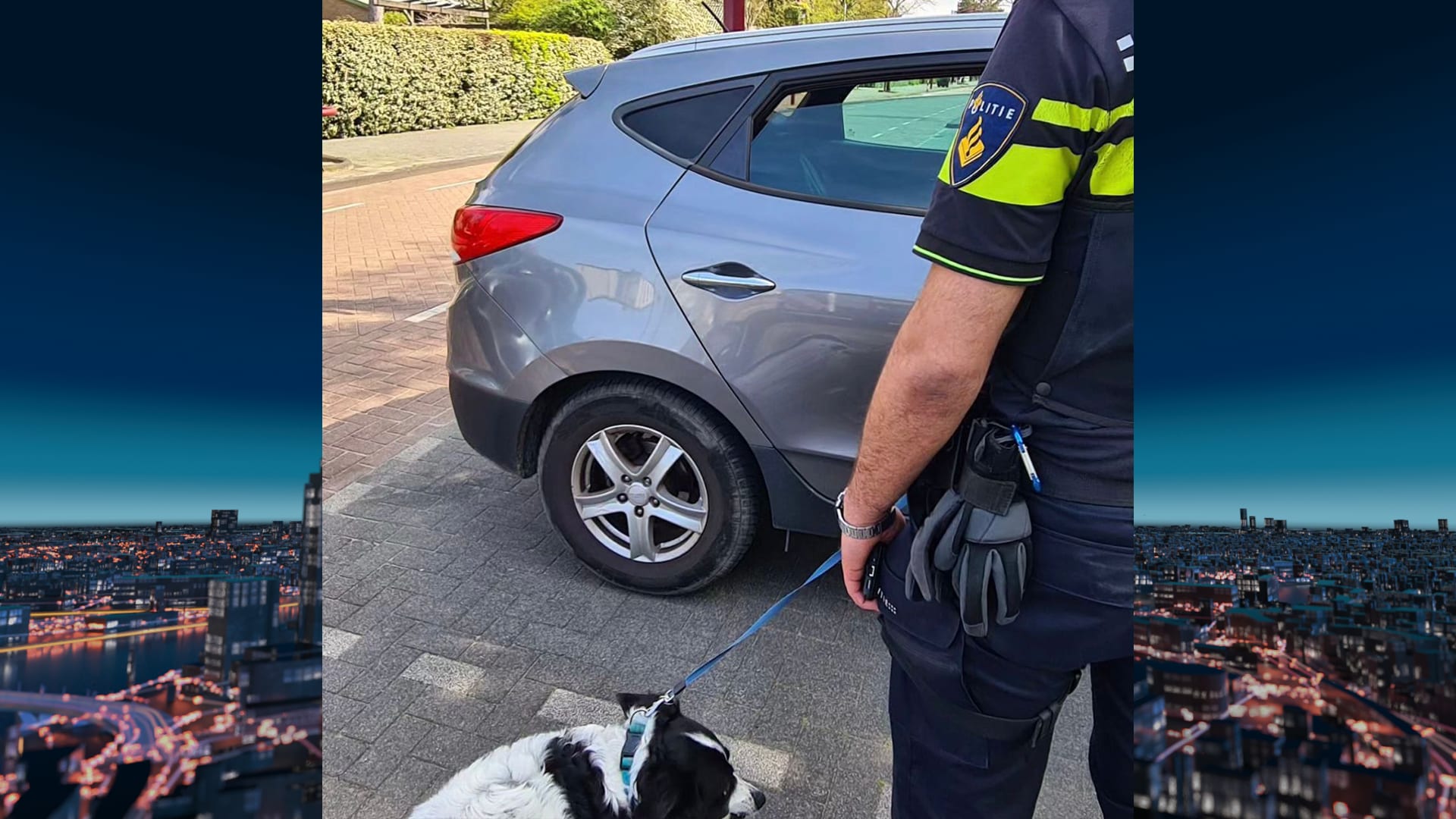 Politie redt hondje uit warme auto in Oostvoorne: 'Temperatuur kan in de auto ongemerkt oplopen'