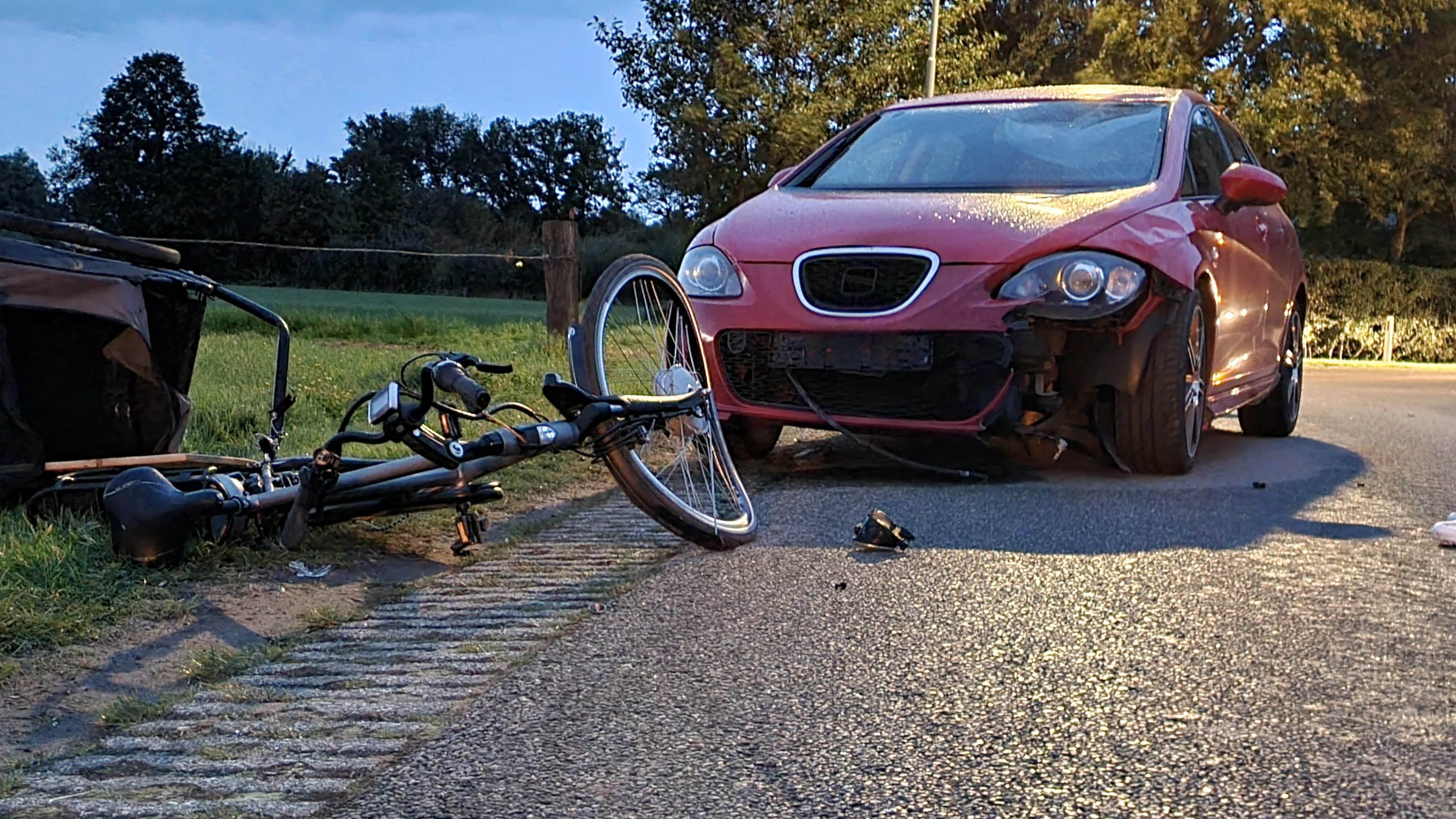 Vader, dochter en hond overreden door automobilist in Breedenbroek