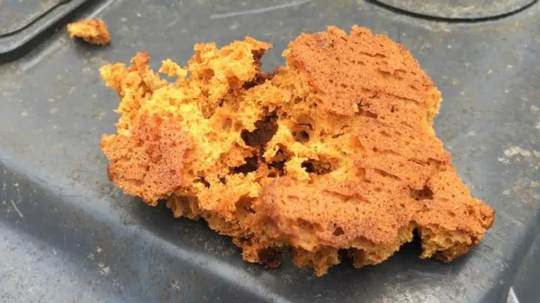 Gebakken spons gevonden op uitlaatveldje, dodelijk voor honden