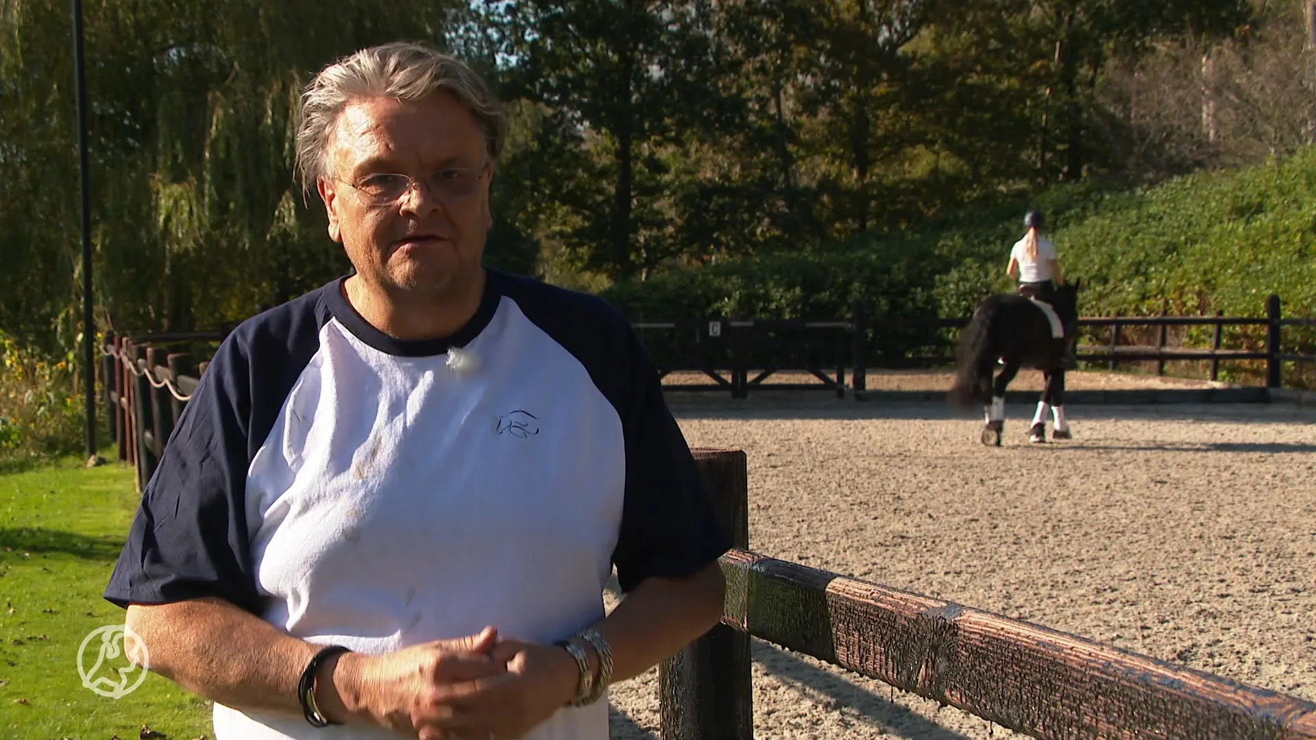 Vuurwerkoverlast bij paardenstallen: 'Ze beseffen niet wat het aanricht'