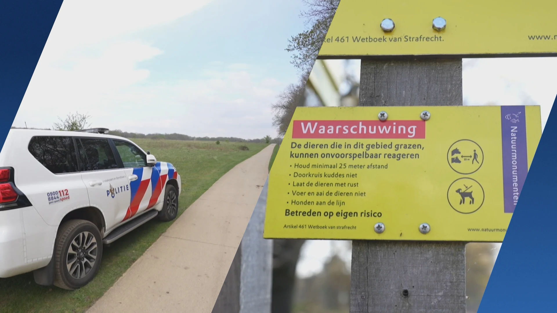 Twee gewonden na aanval door koe bij natuurgebied Otterlo