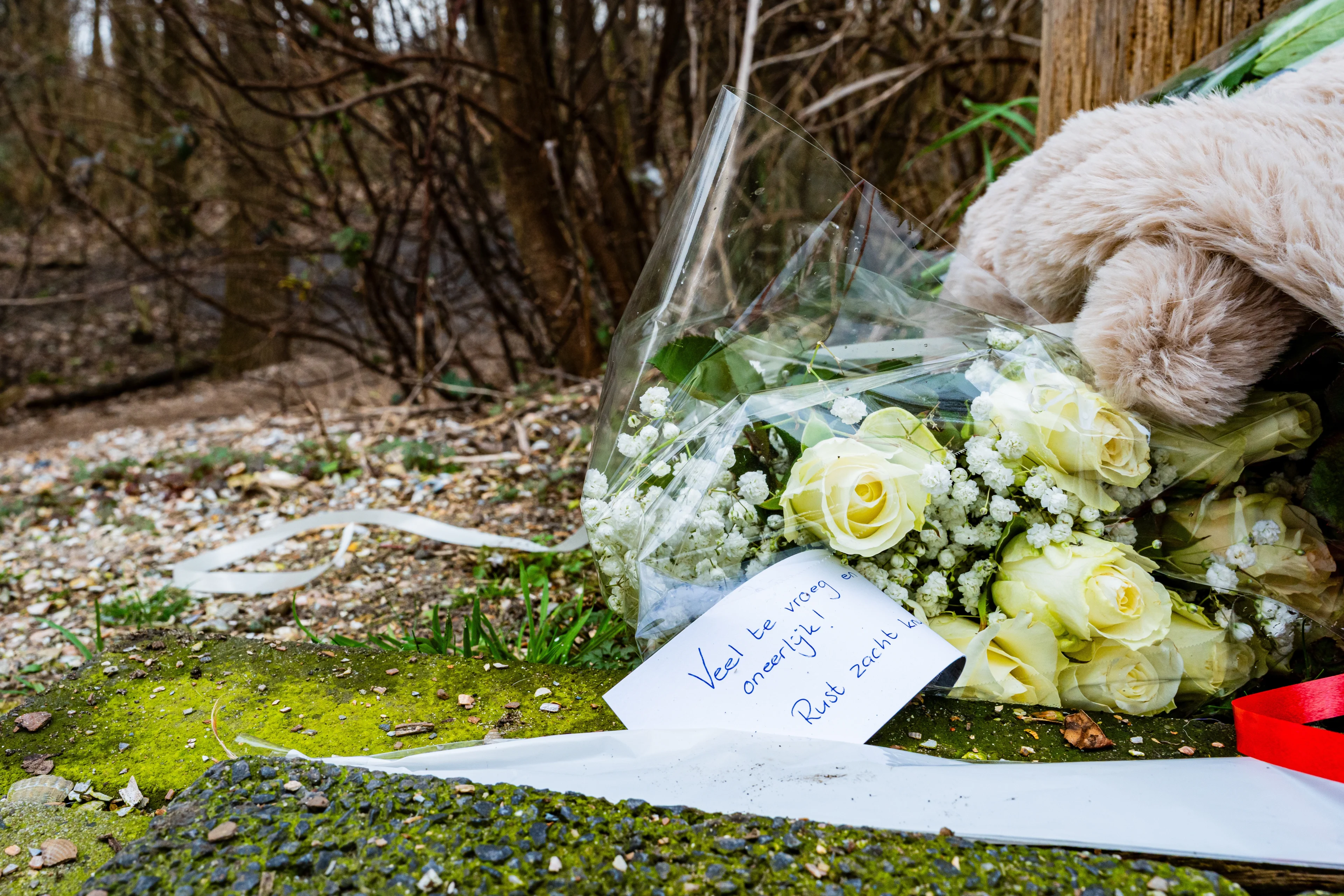 Stille tocht voor doodgestoken jongen (13) in Schiedam: 'Kom in het wit'