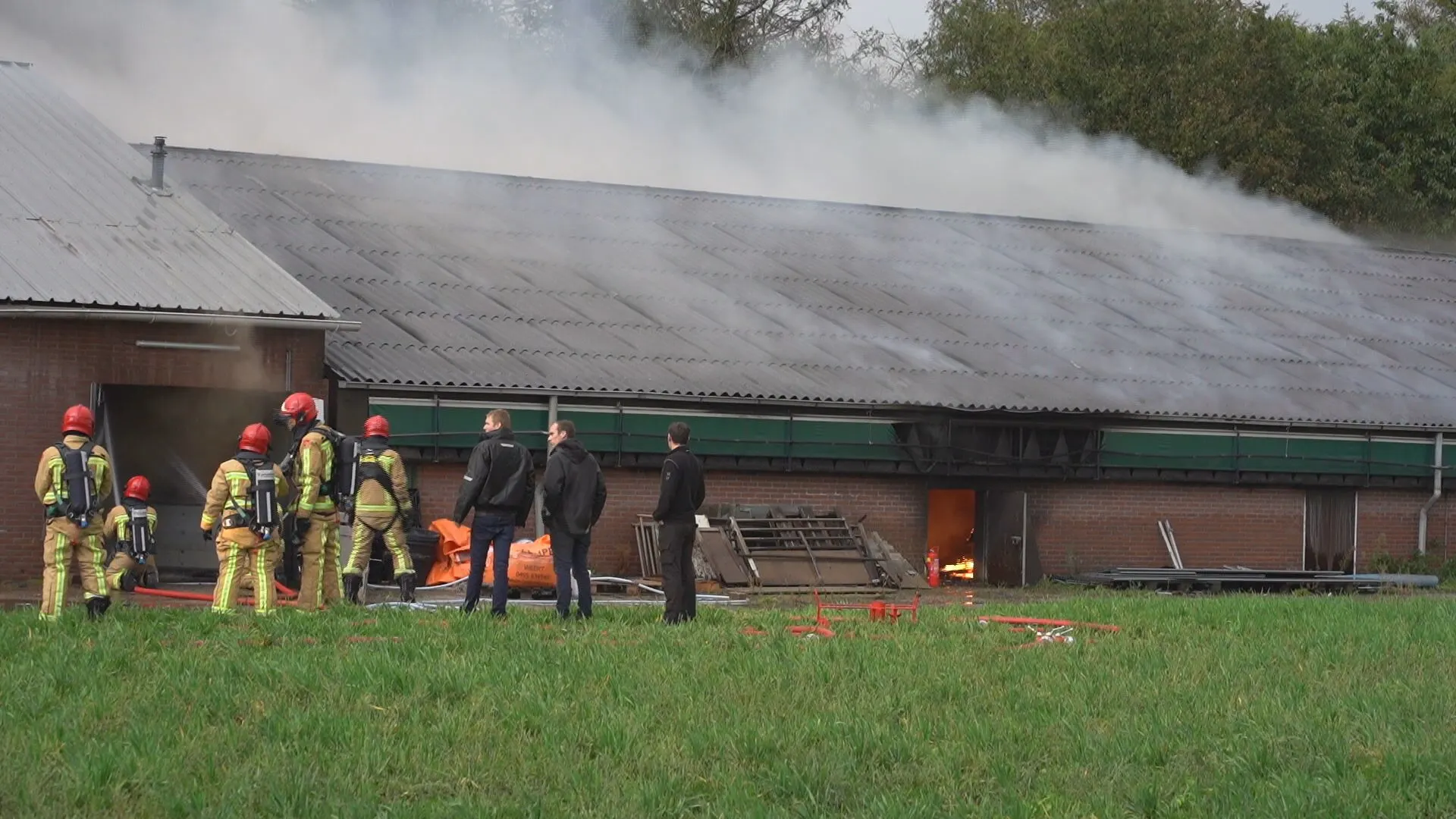 Honderden varkens komen om het leven bij grote stalbrand in Sterksel