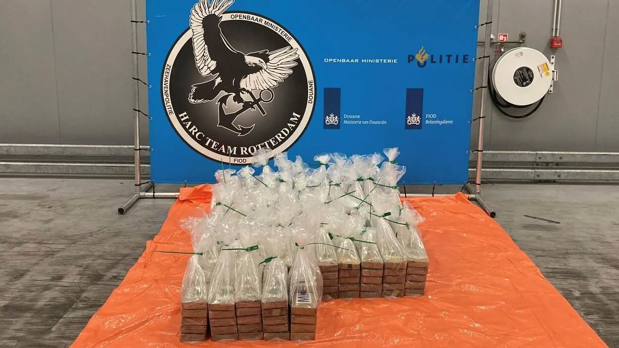 Douane vindt 449 kilo coke tussen de bananen in haven Vlissingen