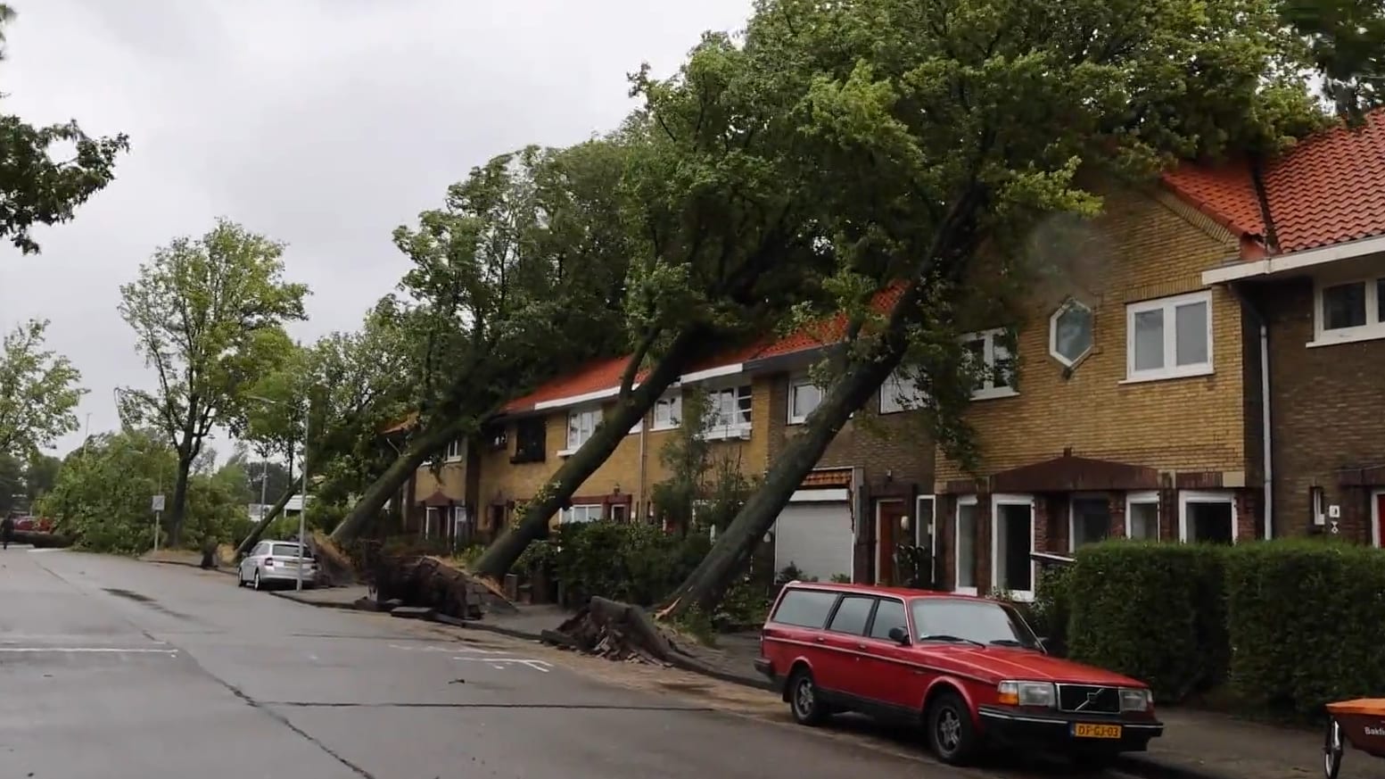 Schade door storm Poly? Dit is waarvoor je (niet) verzekerd bent