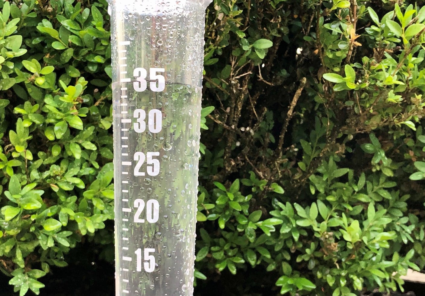 Kletsnat en winderig begin van de astronomische zomer