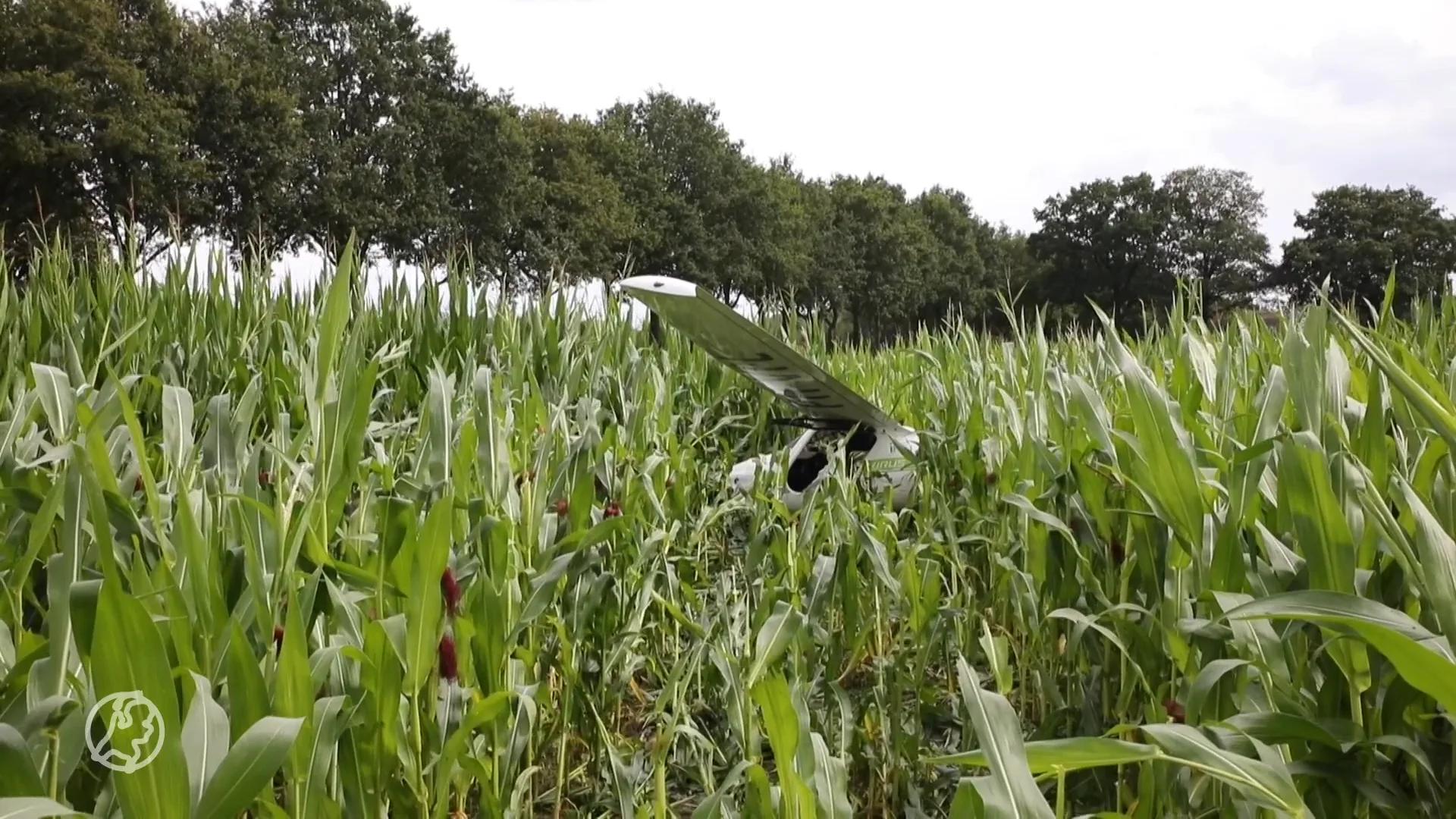 Piloot belandt in enorm maisveld na noodlanding