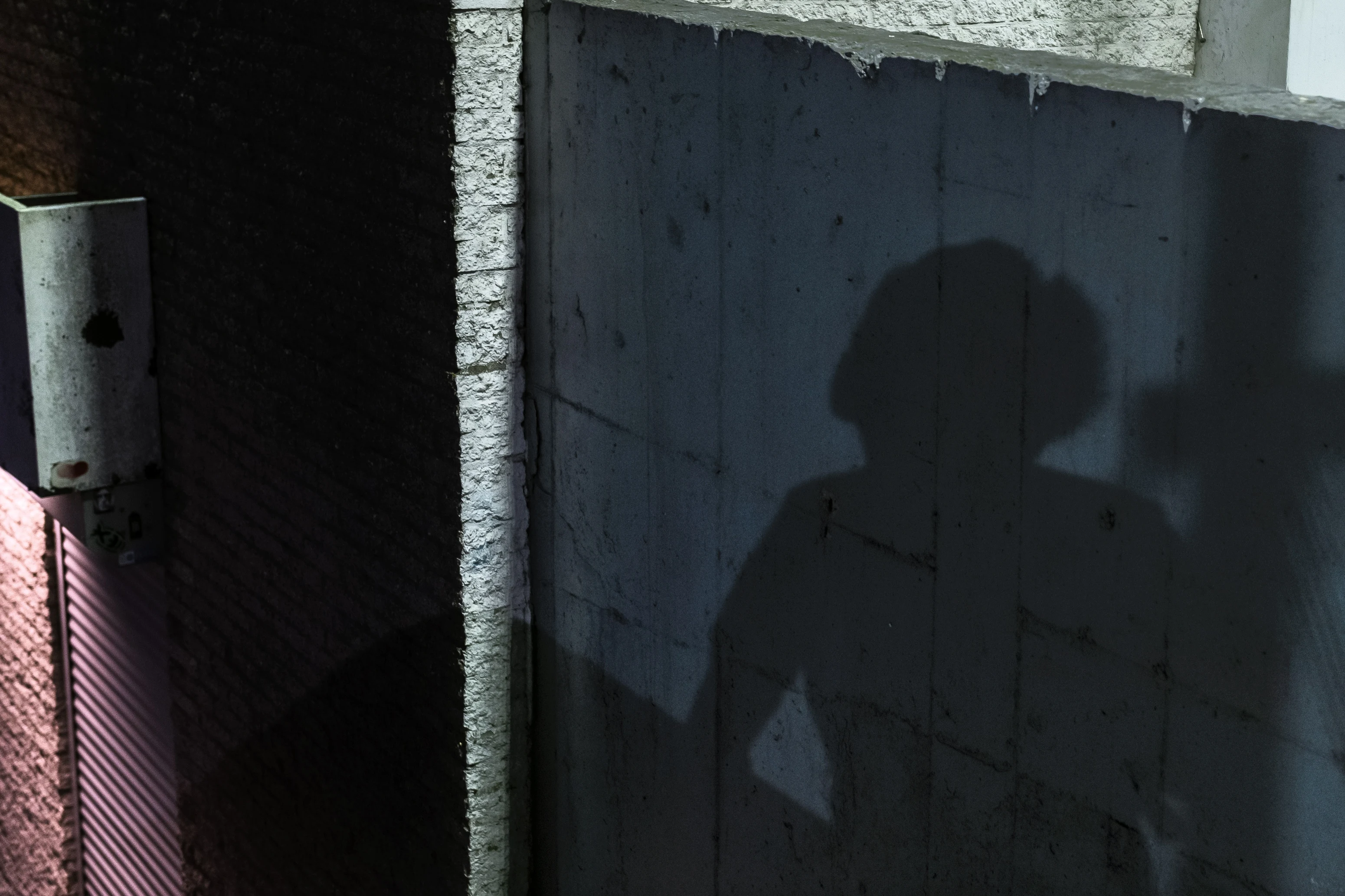 Samenscholingsverbod in wijk van Lelystad: groep hangjongeren veroorzaakt te veel overlast