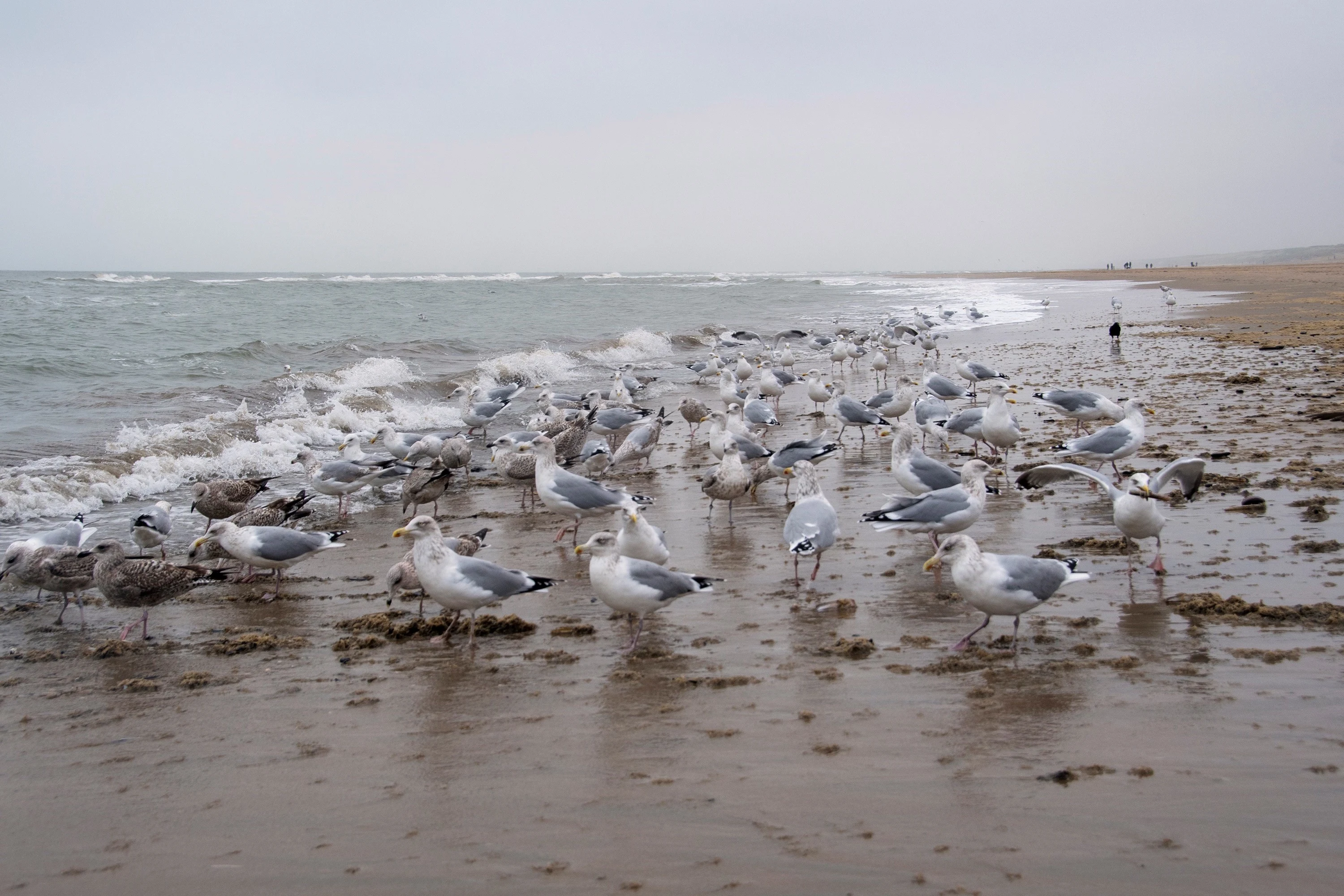 Op veel plaatsen grijs, hier en daar een spatje regen