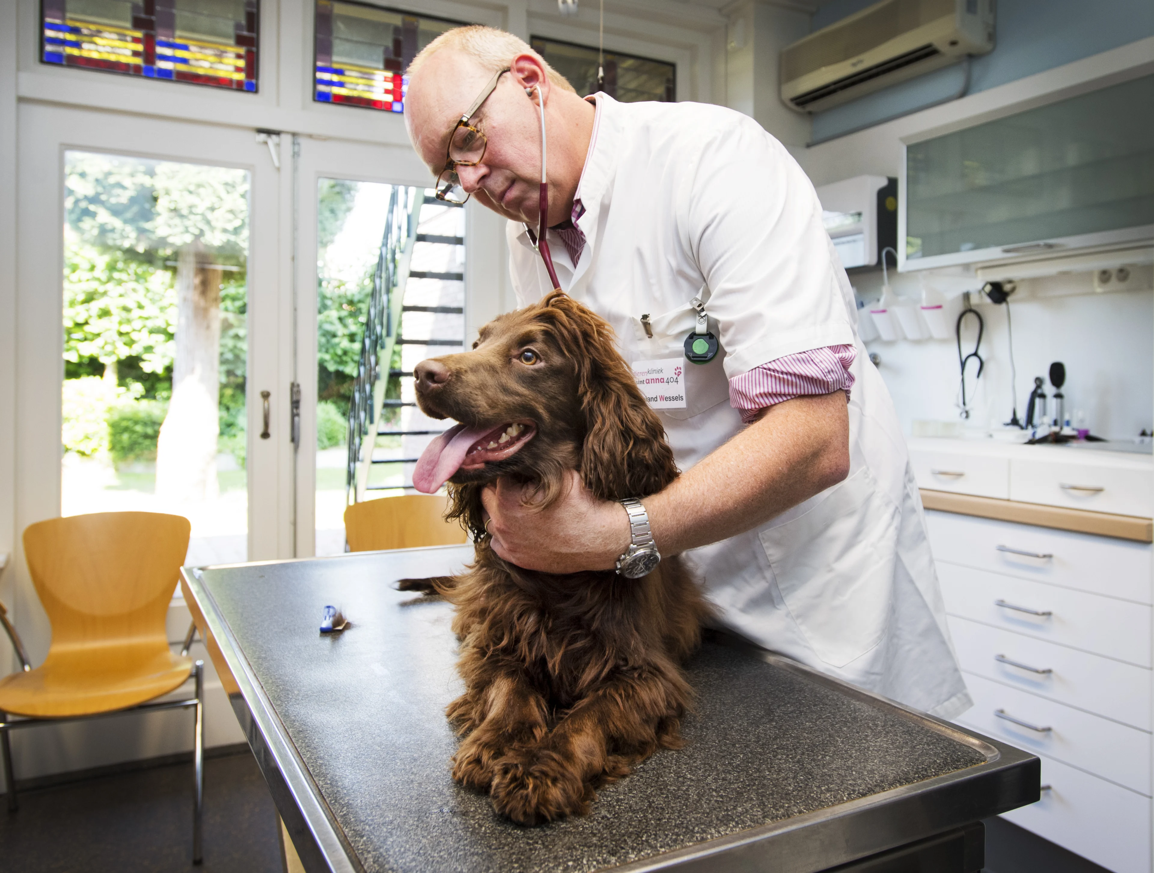 LIVEBLOG | Minister roept dierenartsen op ademapparatuur te leveren