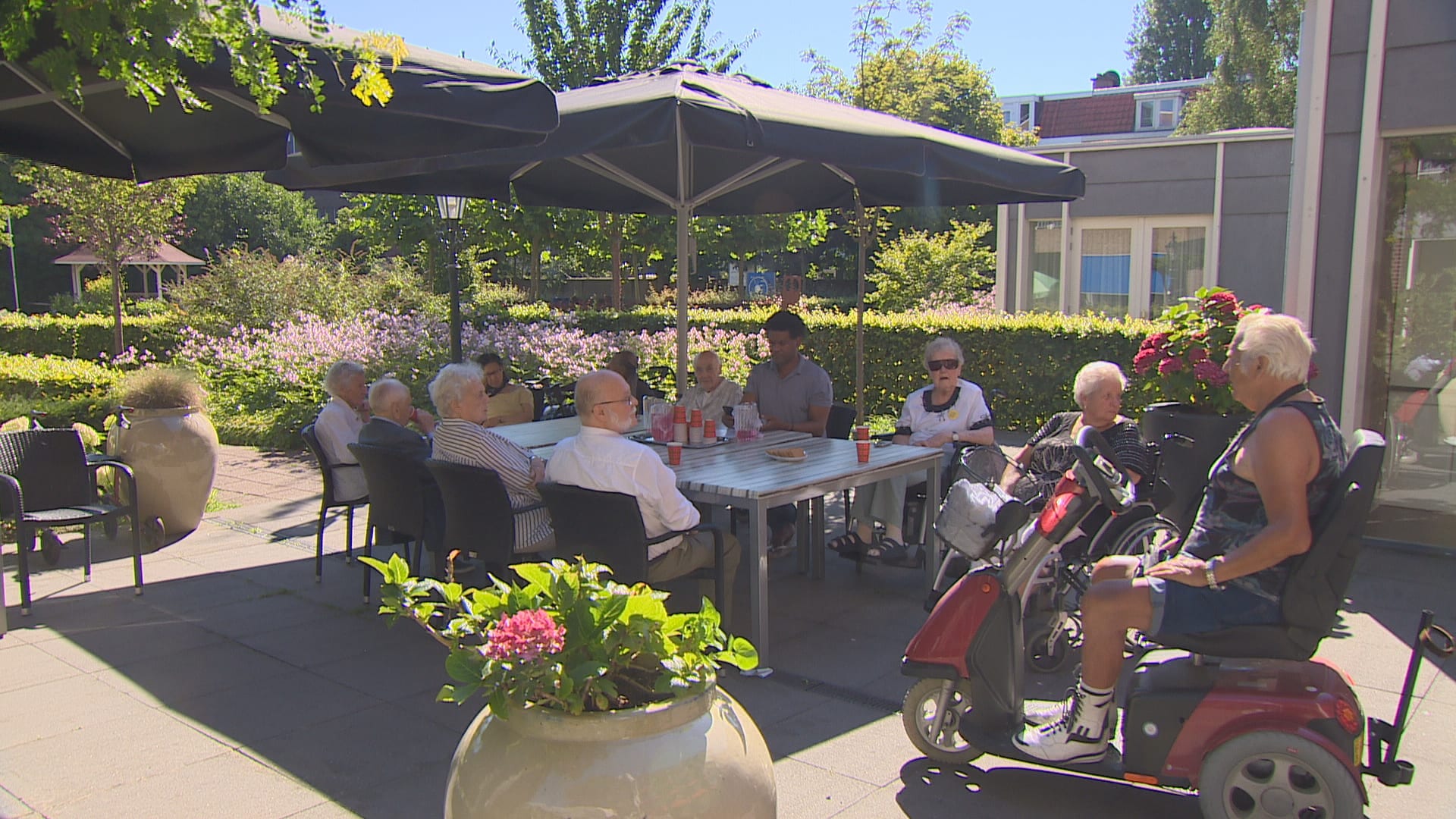 ANBO blijft waarschuwen: "Let op onze ouderen tijdens een hittegolf"