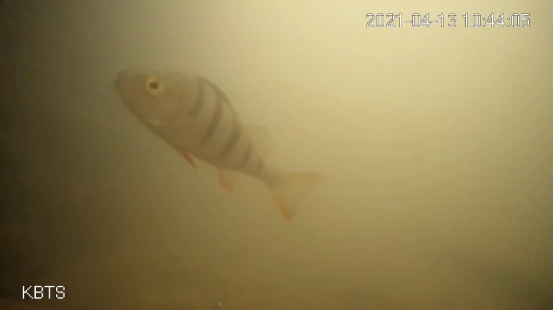 Utrecht zet 'visdeurbel' bij Weerdsluis in de stad weer aan