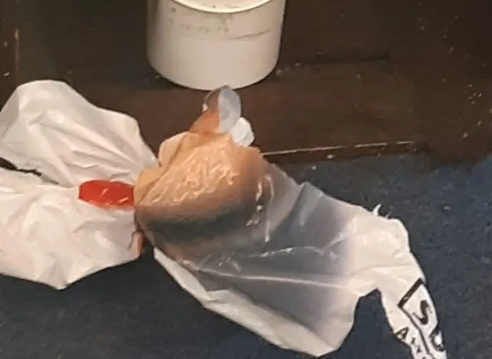 Lugubere vondst in kringloopwinkel blijkt menselijk strottenhoofd