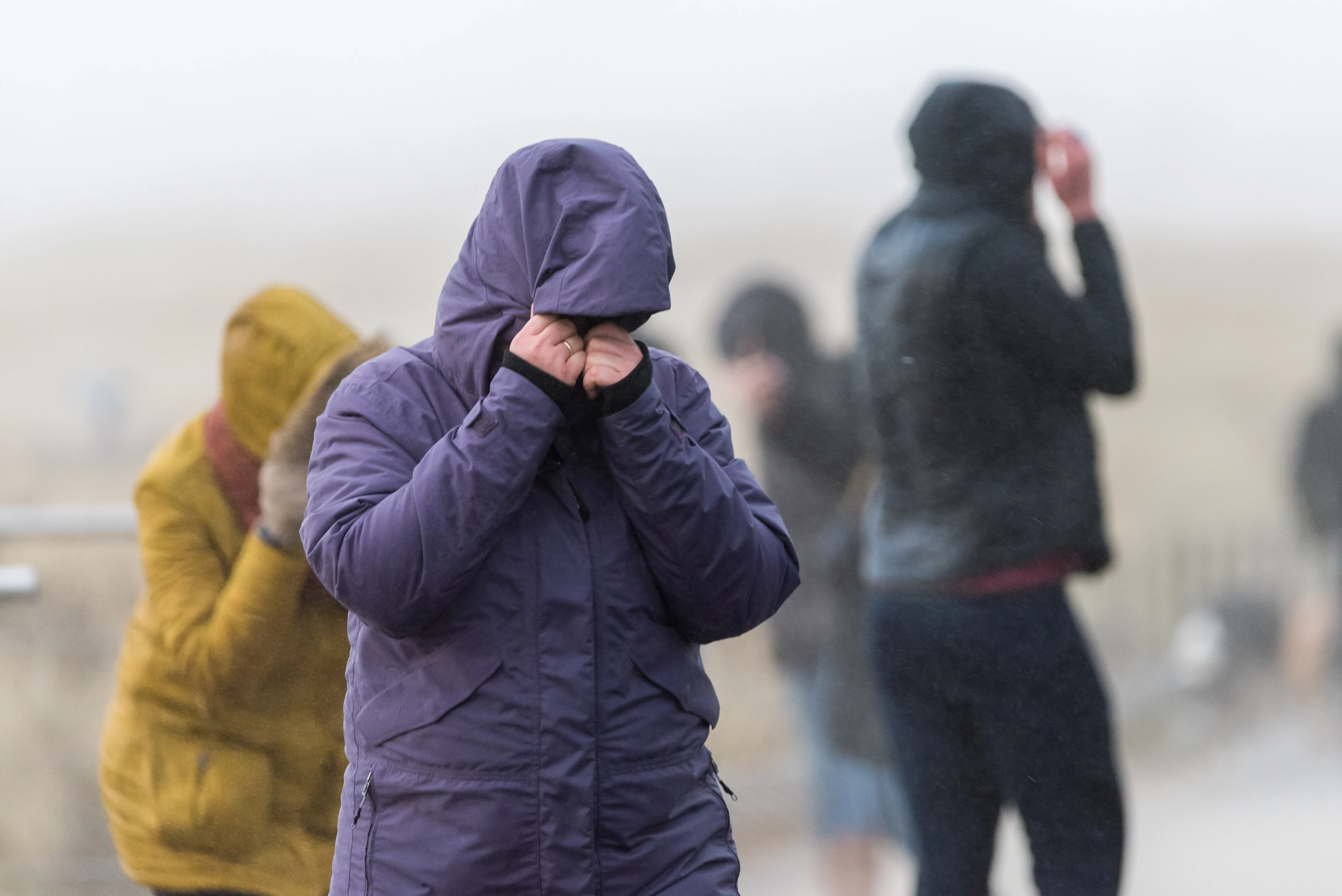 Het wordt onstuimig morgen: code geel in delen van het land